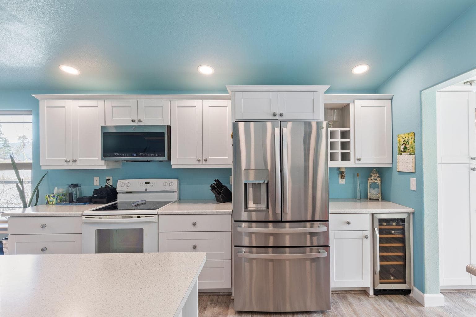 Stainless Steel appliances