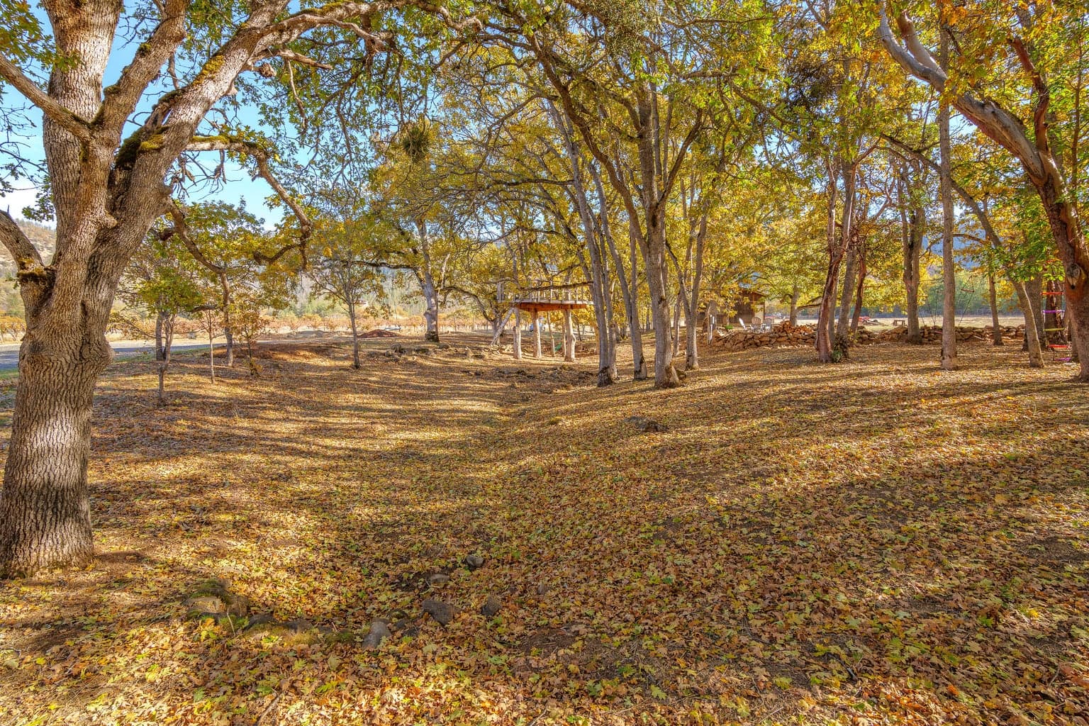 Photo of 7499 Highway 238 4 of 49