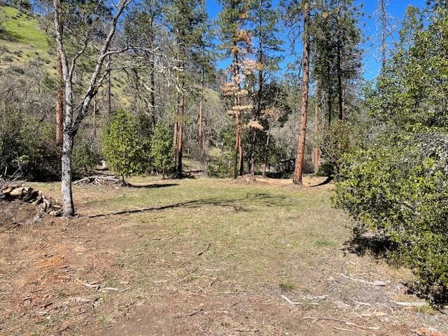 Photo of Kinney Cr 5 of 15