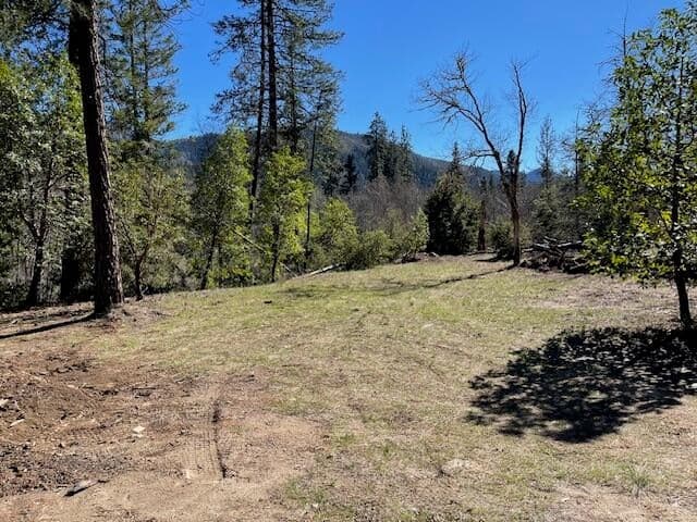 Photo of Kinney Cr 4 of 15