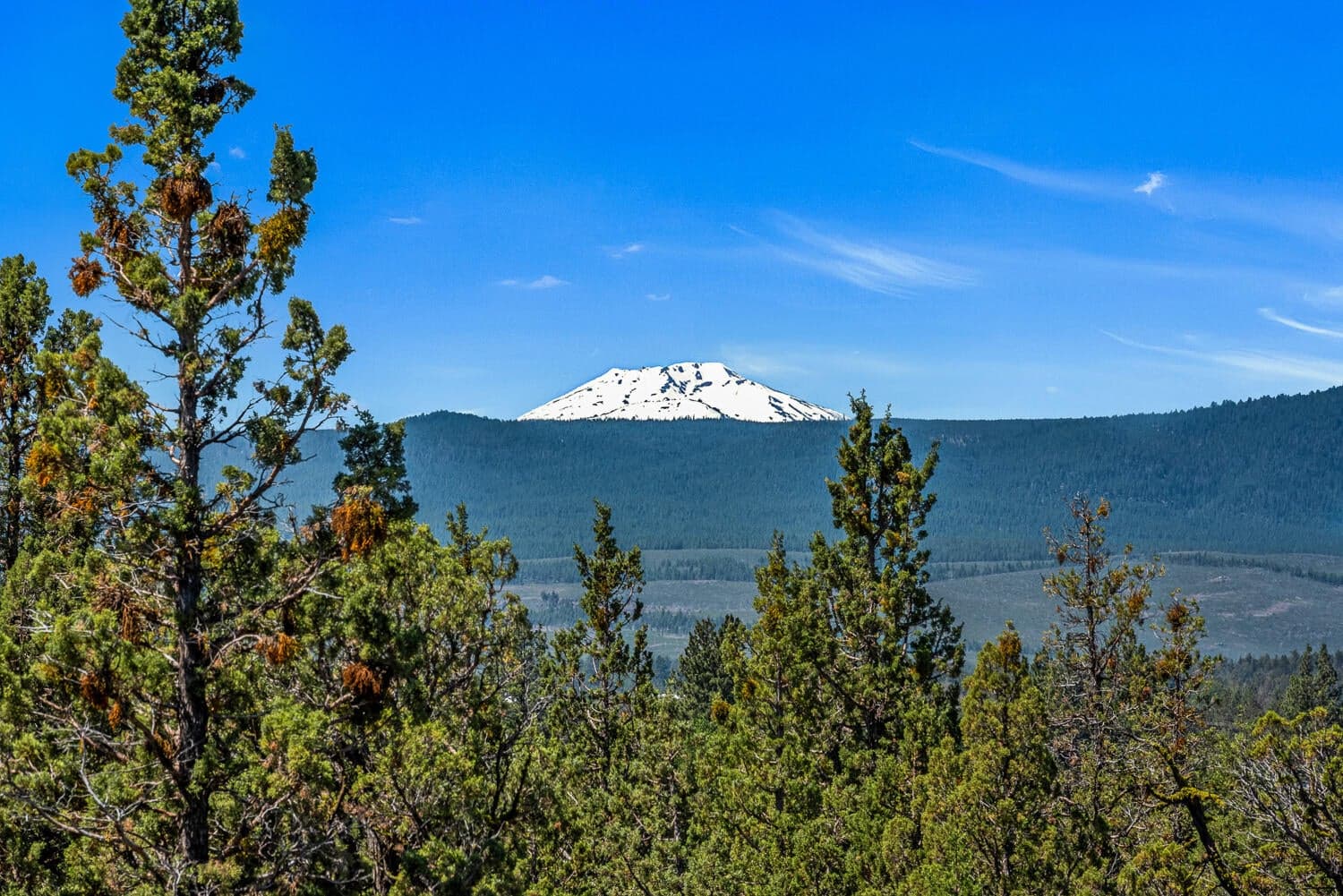 Primary bedroom deck view - Mt. Bachelor