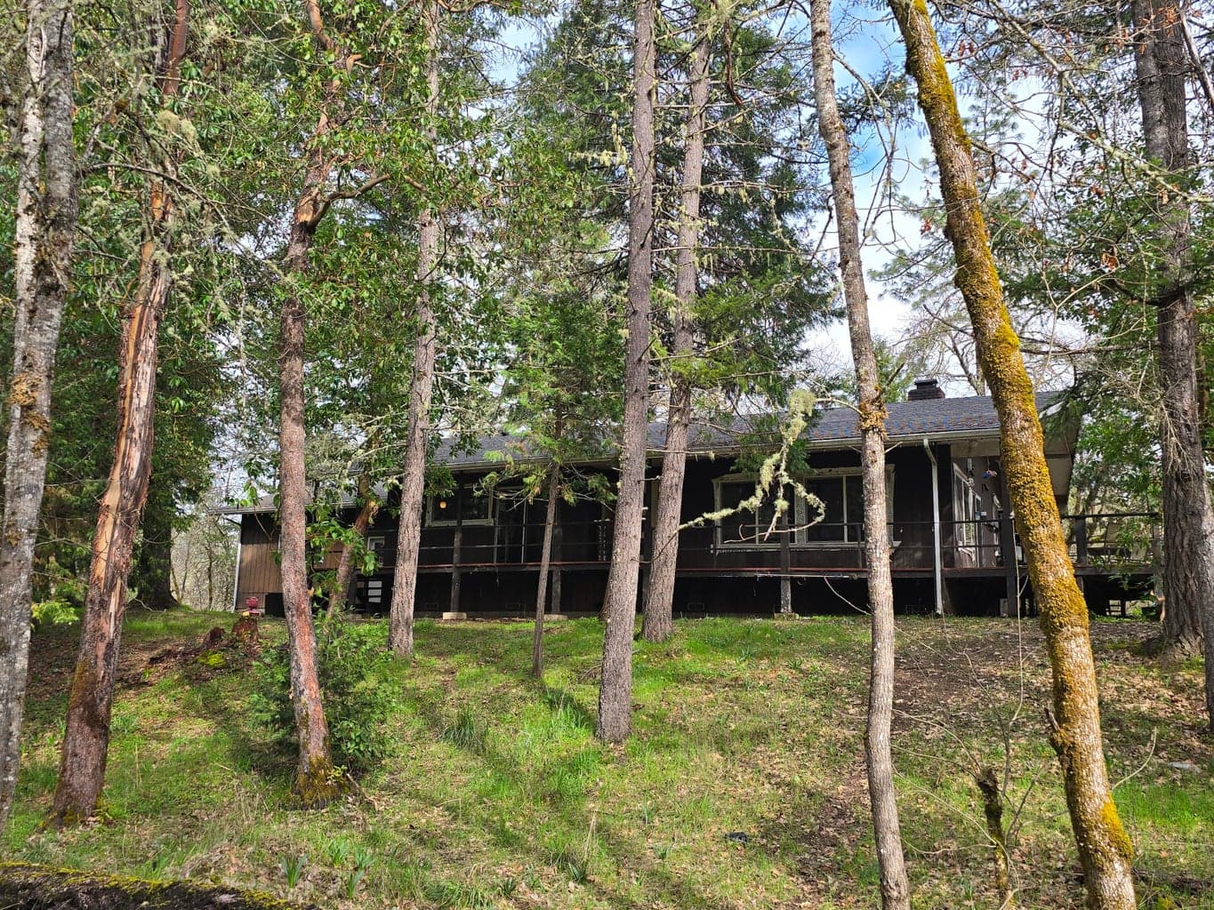 Photo of 24524 Redwood 5 of 35
