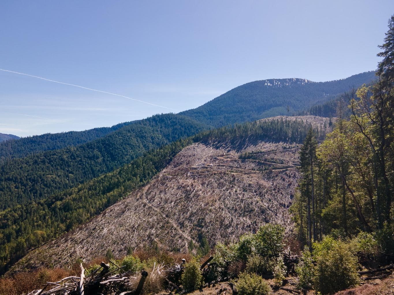 Photo of Rock Creek 3 of 16