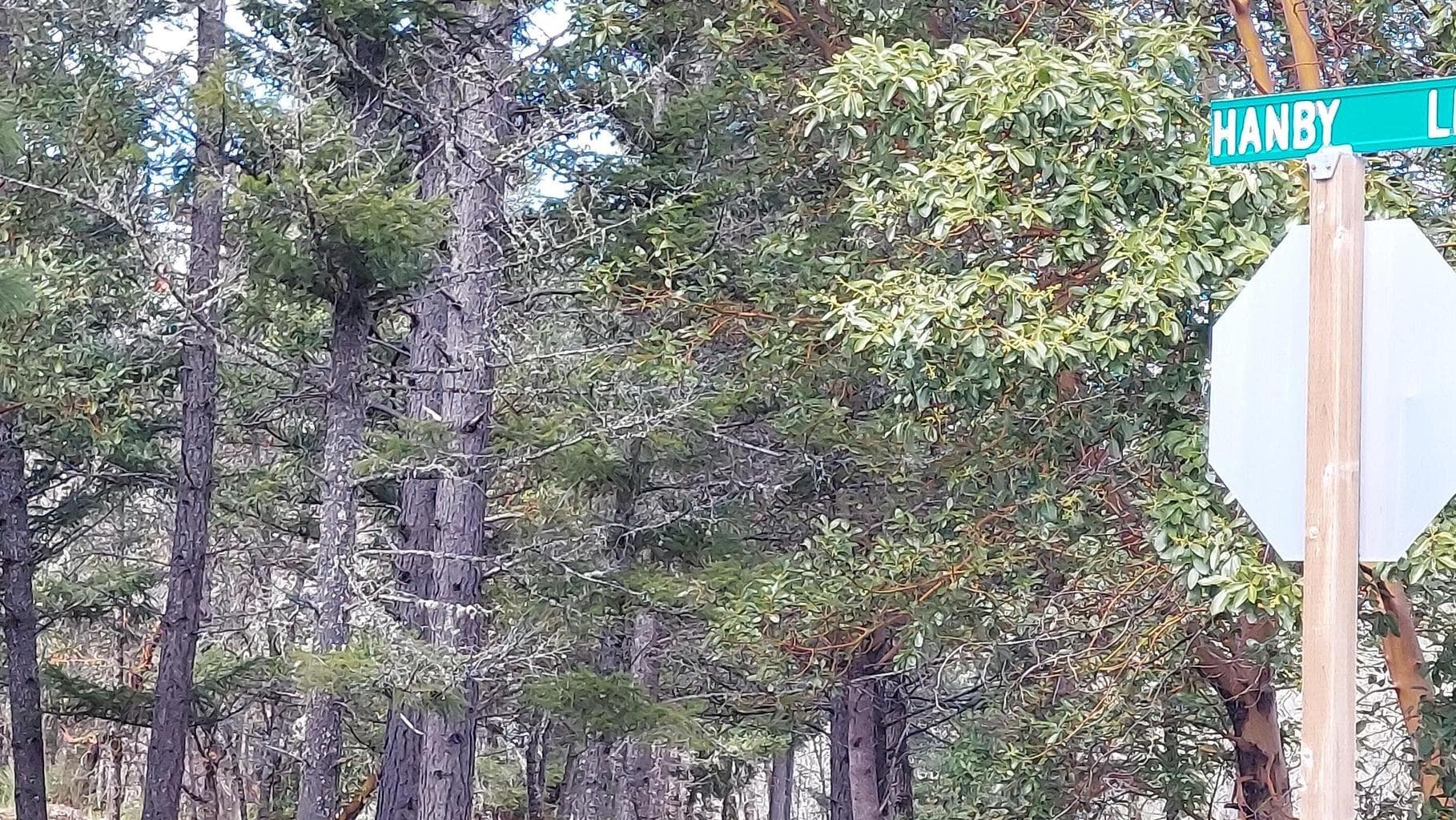 Photo of Redwood 2 of 13