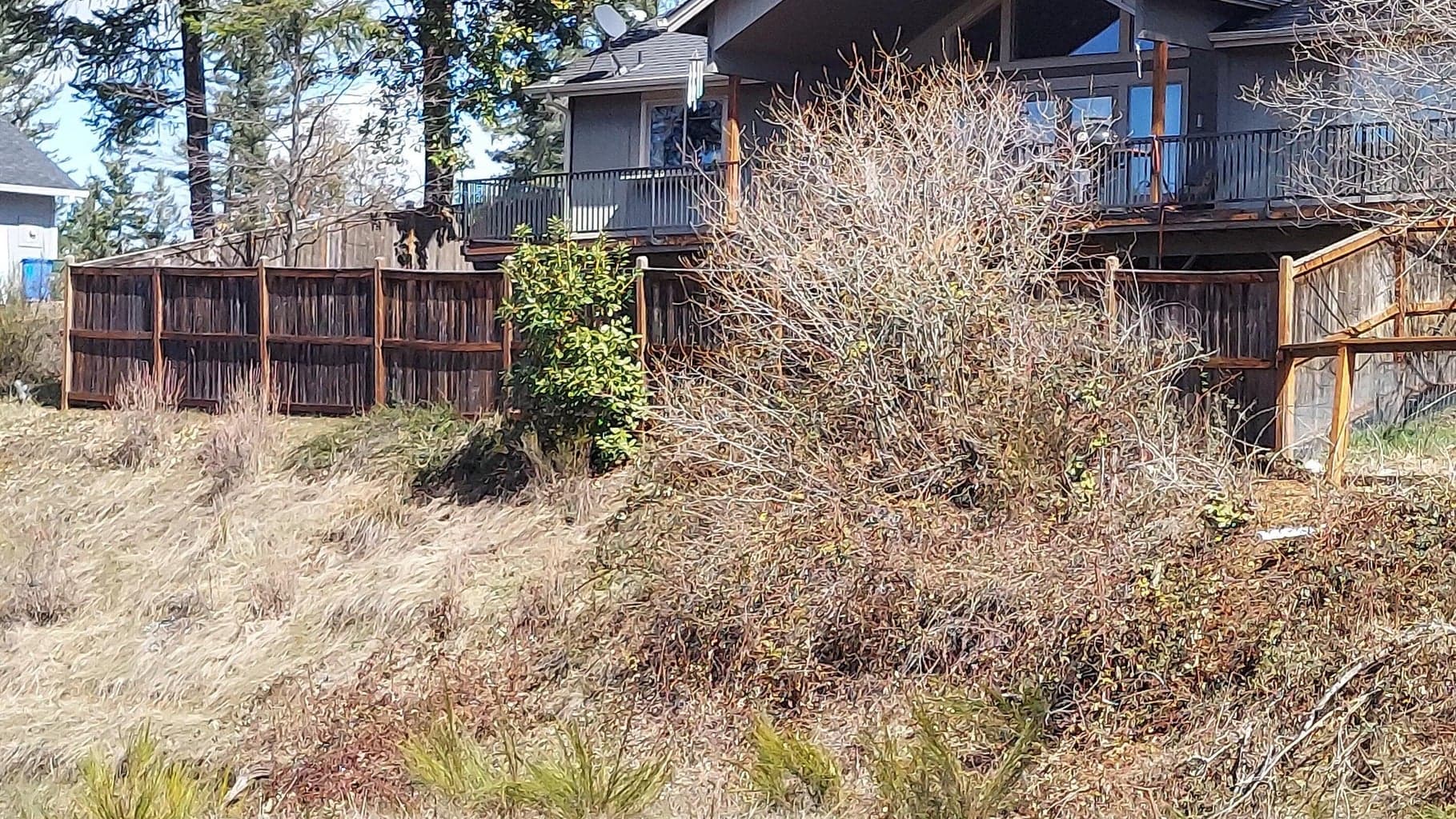 Photo of Redwood 5 of 13