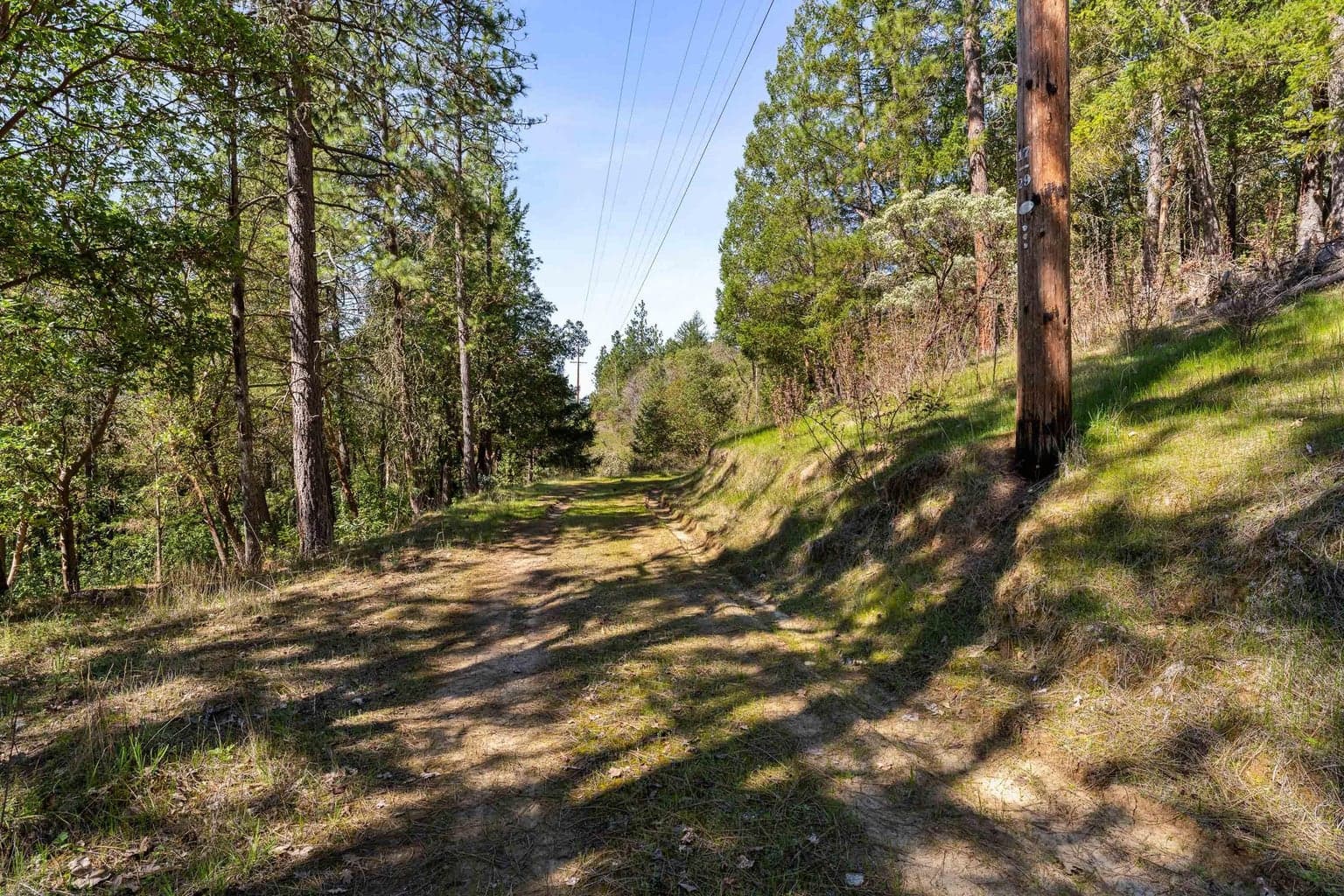 Photo of 11524 Applegate 5 of 16