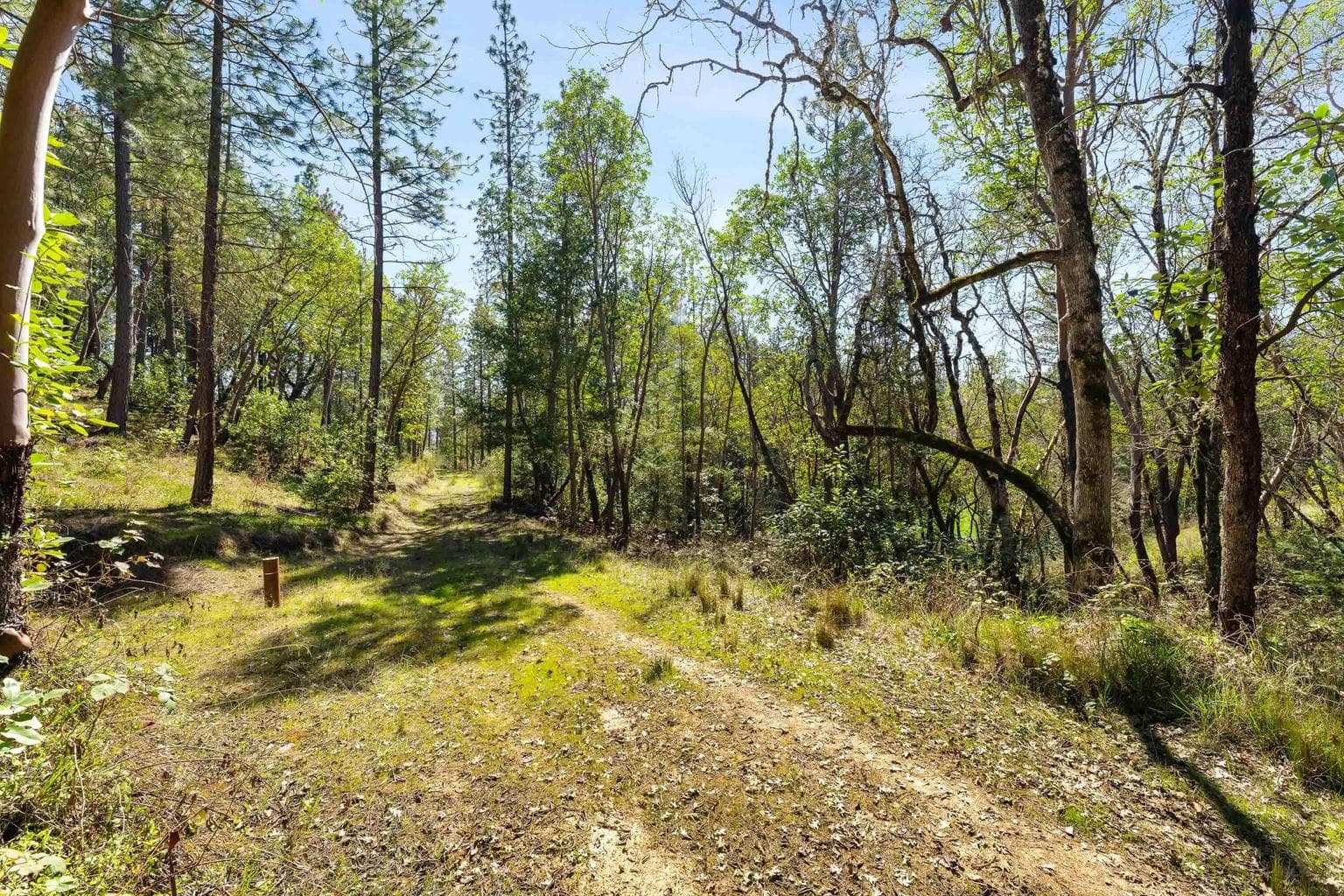 Photo of 11524 Applegate 6 of 16