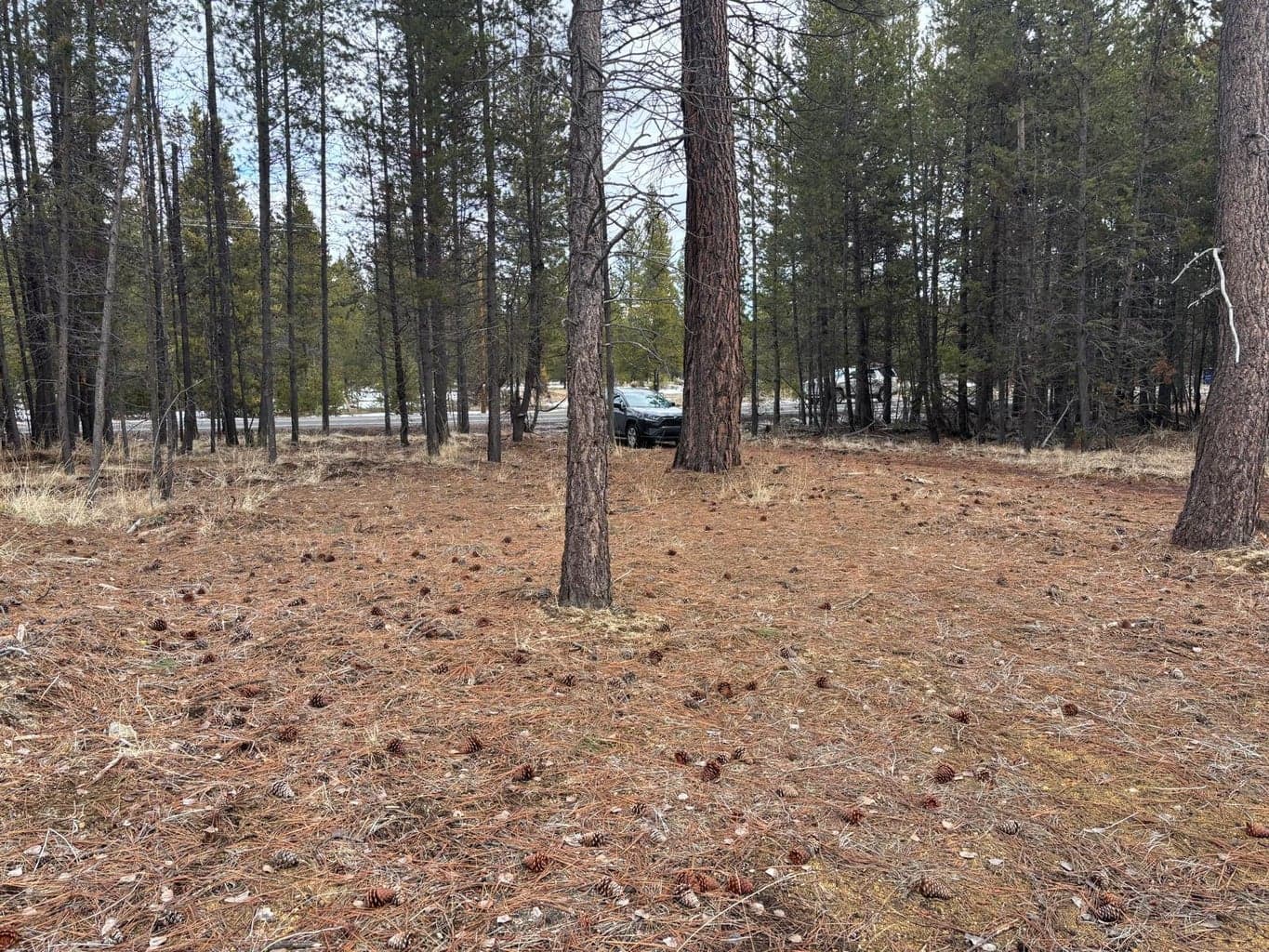 Photo of 17115 Spring River 3 of 6