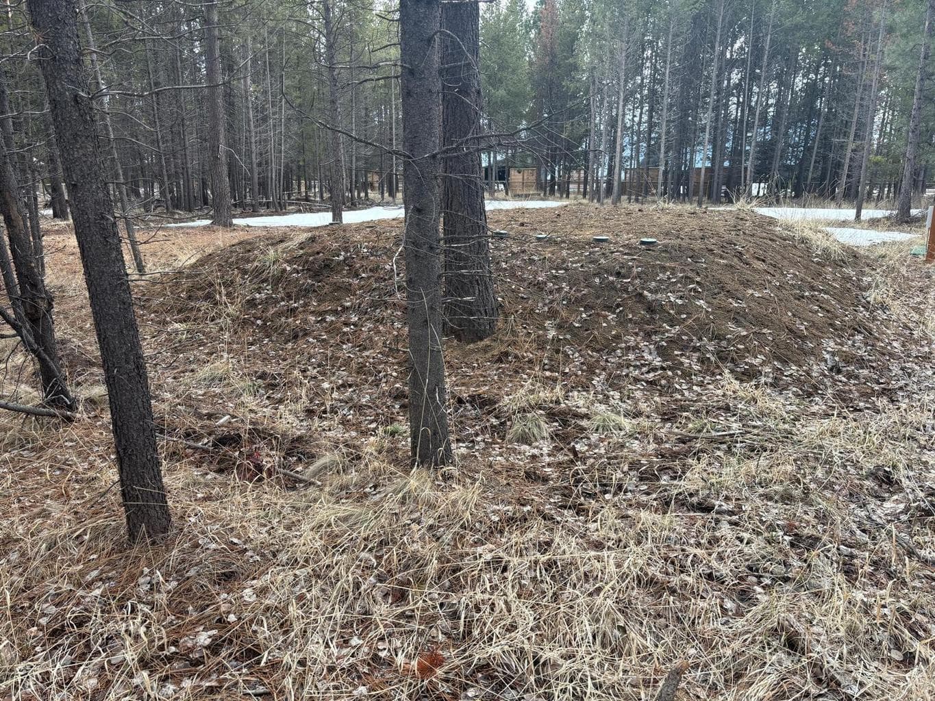 Photo of 17115 Spring River 4 of 6