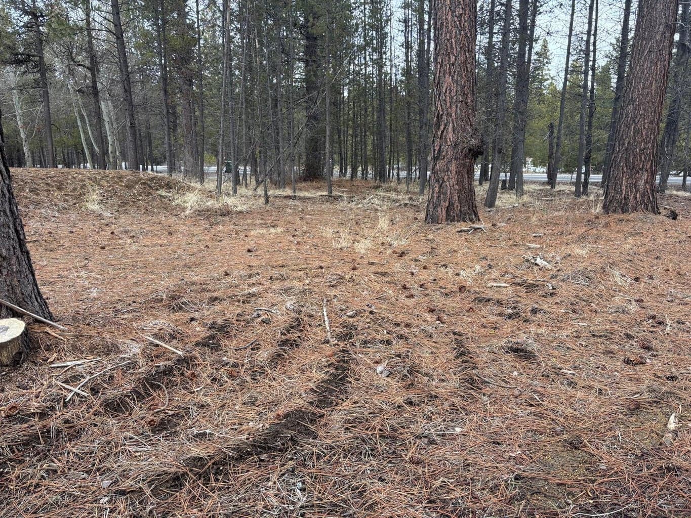 Photo of 17115 Spring River 5 of 6