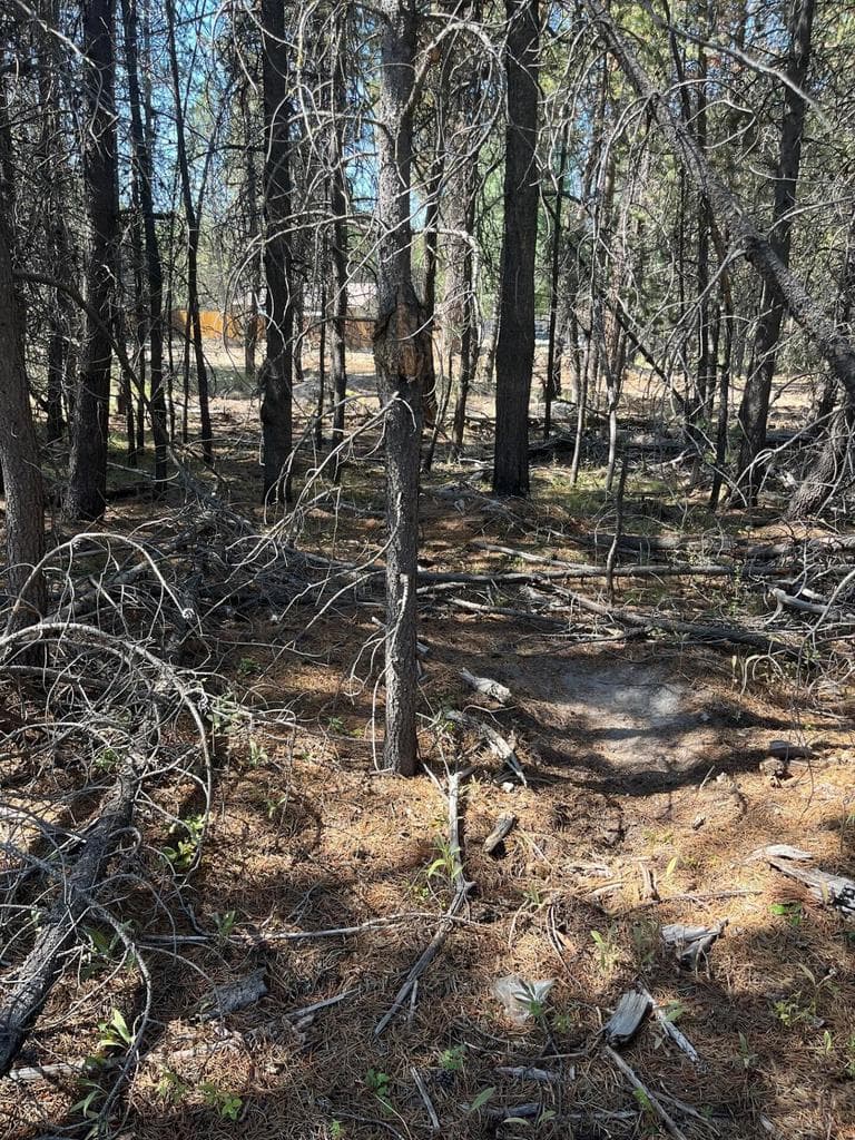 Photo of 17123 Spring River 3 of 6