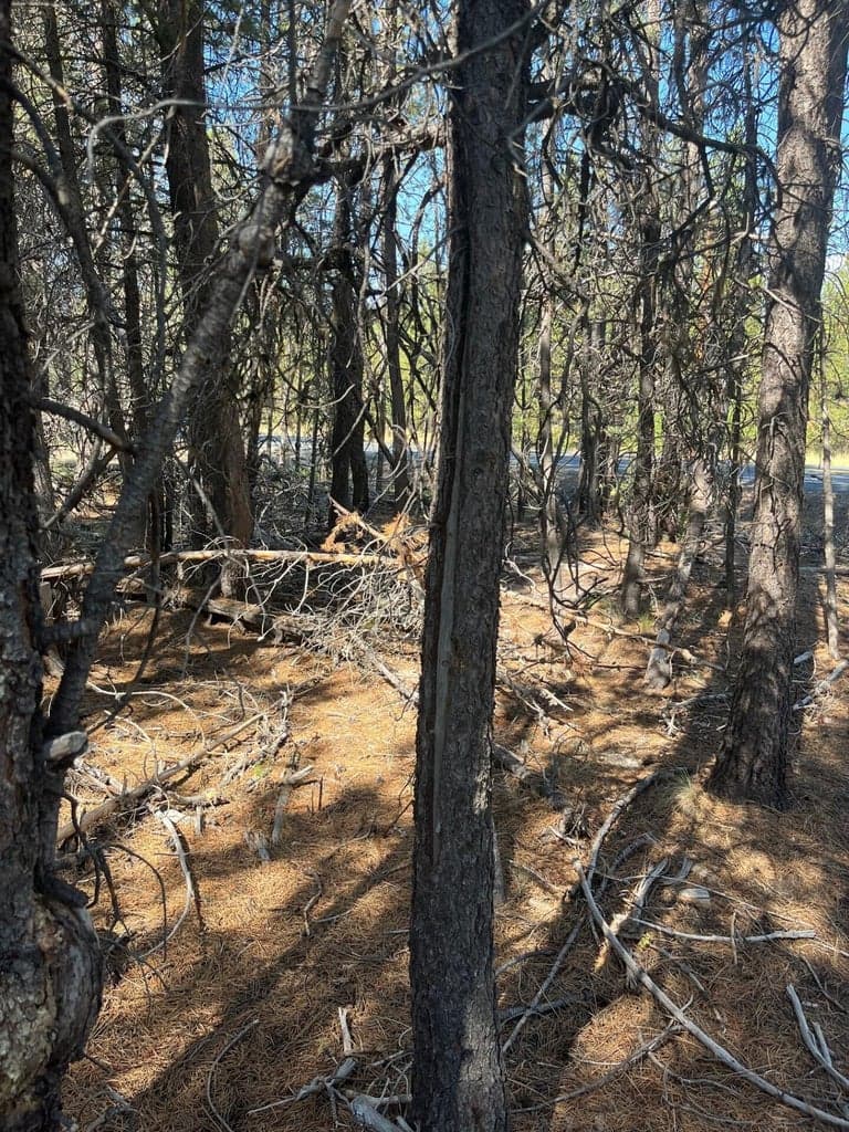 Photo of 17123 Spring River 4 of 6