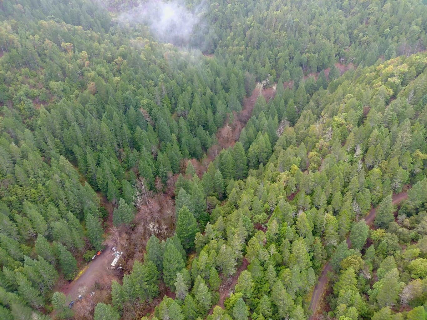 Photo of 1802 Waters Creek 2 of 14