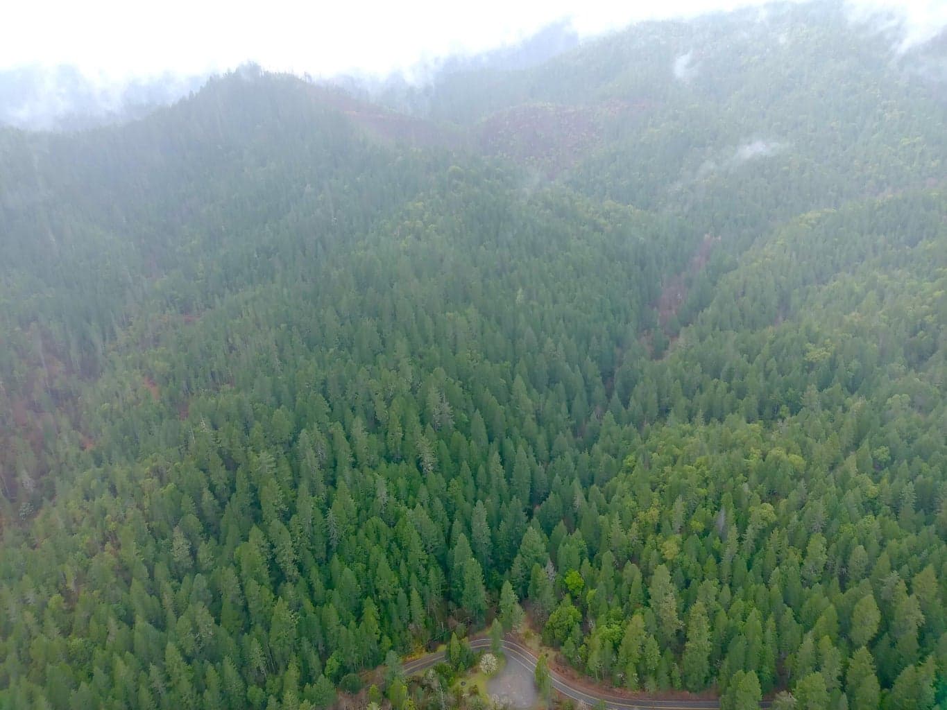 Photo of 1802 Waters Creek 5 of 14