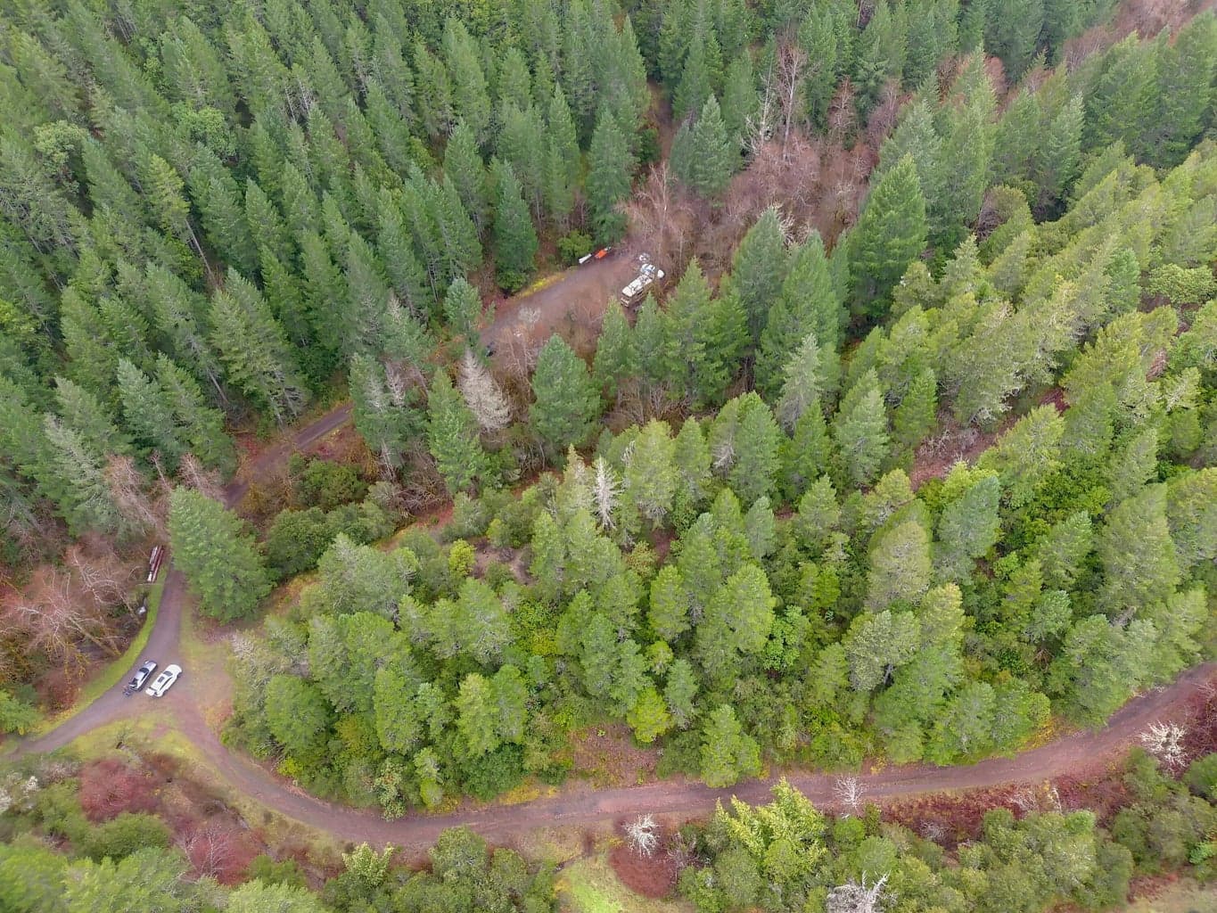 1834 Waters Creek