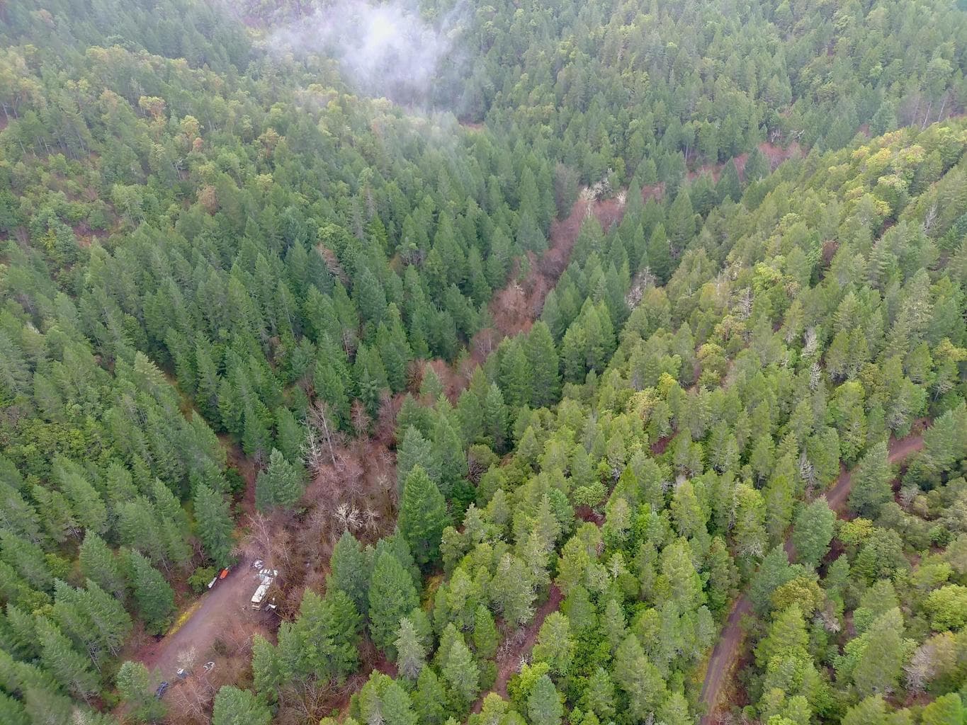 Photo of 1834 Waters Creek 2 of 14