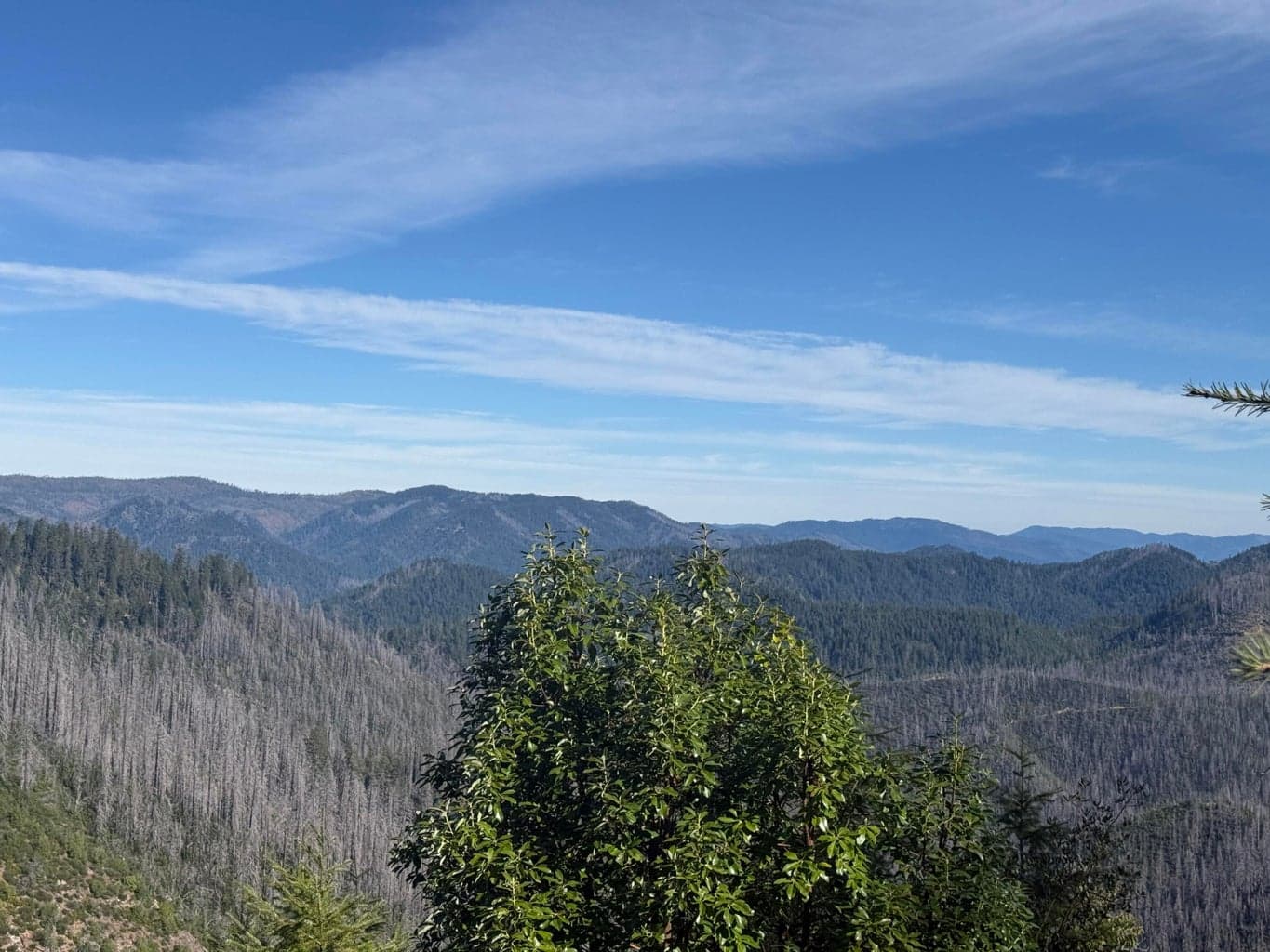 Photo of 0 Swede Basin 5 of 35