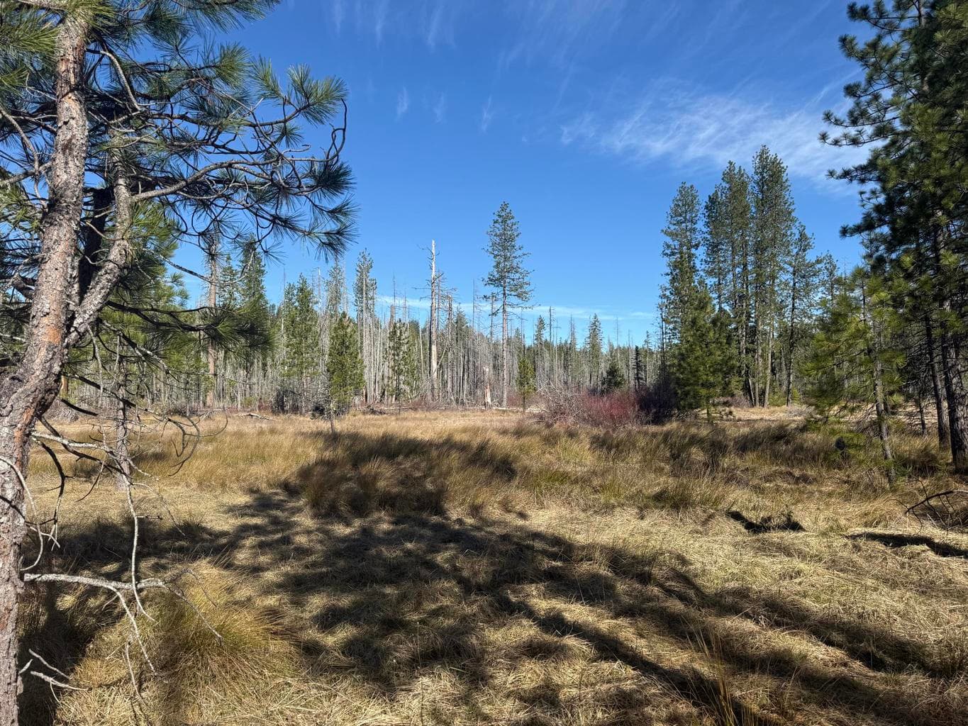 Photo of 0 Swede Basin 3 of 35