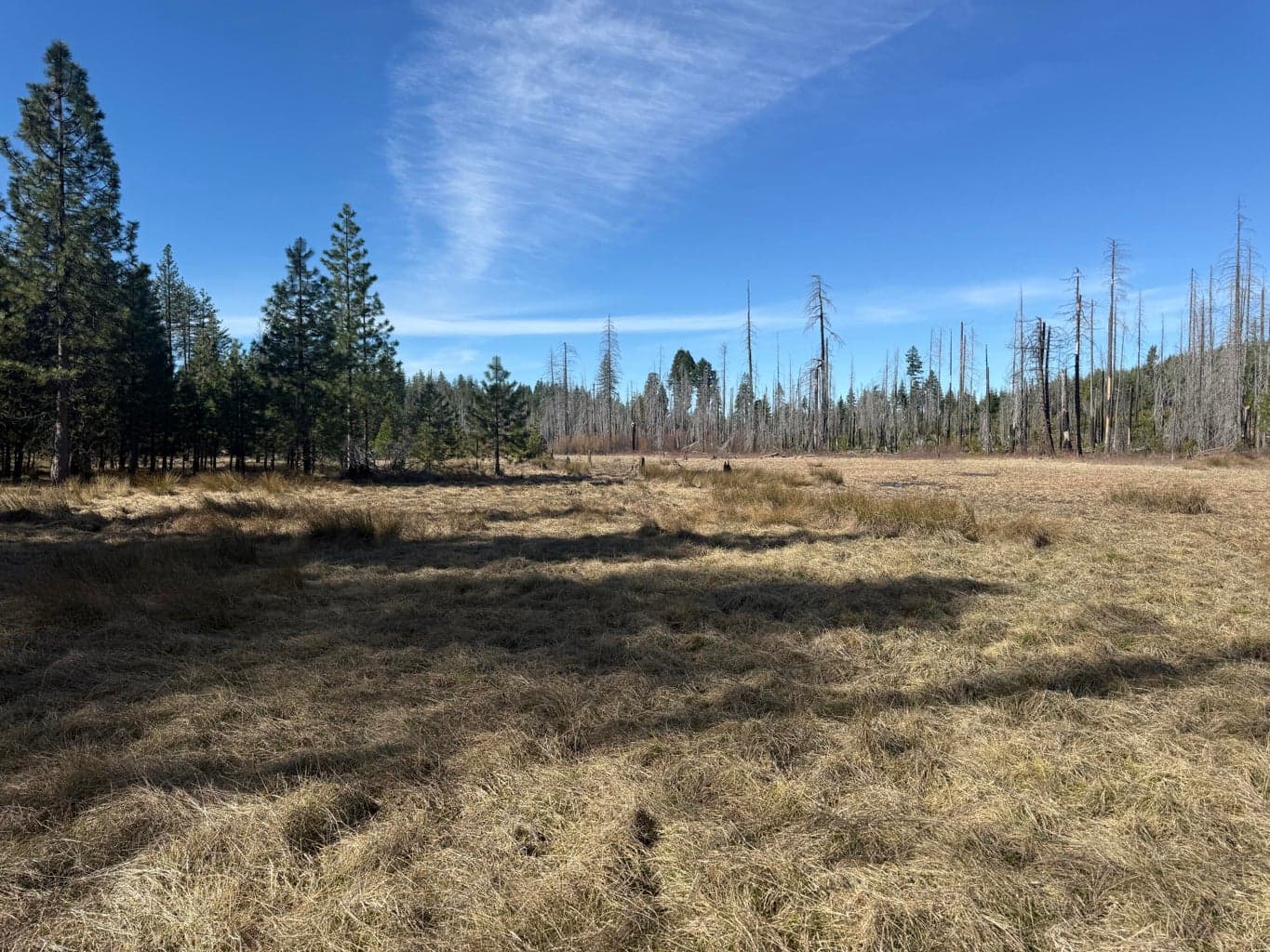 Photo of 0 Swede Basin 2 of 35