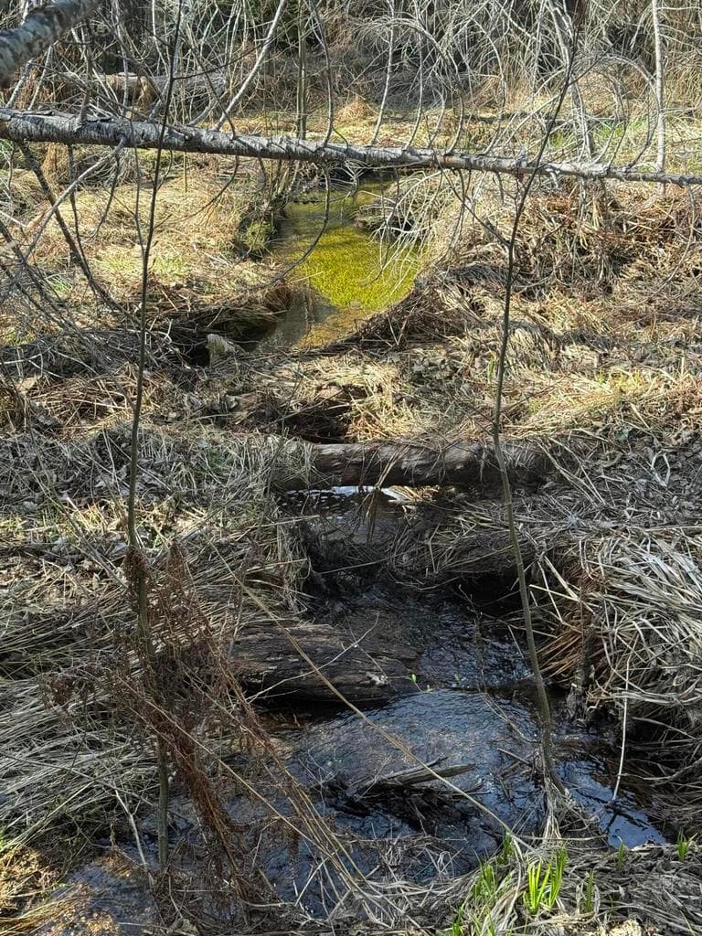 Photo of 0 Swede Basin 4 of 35