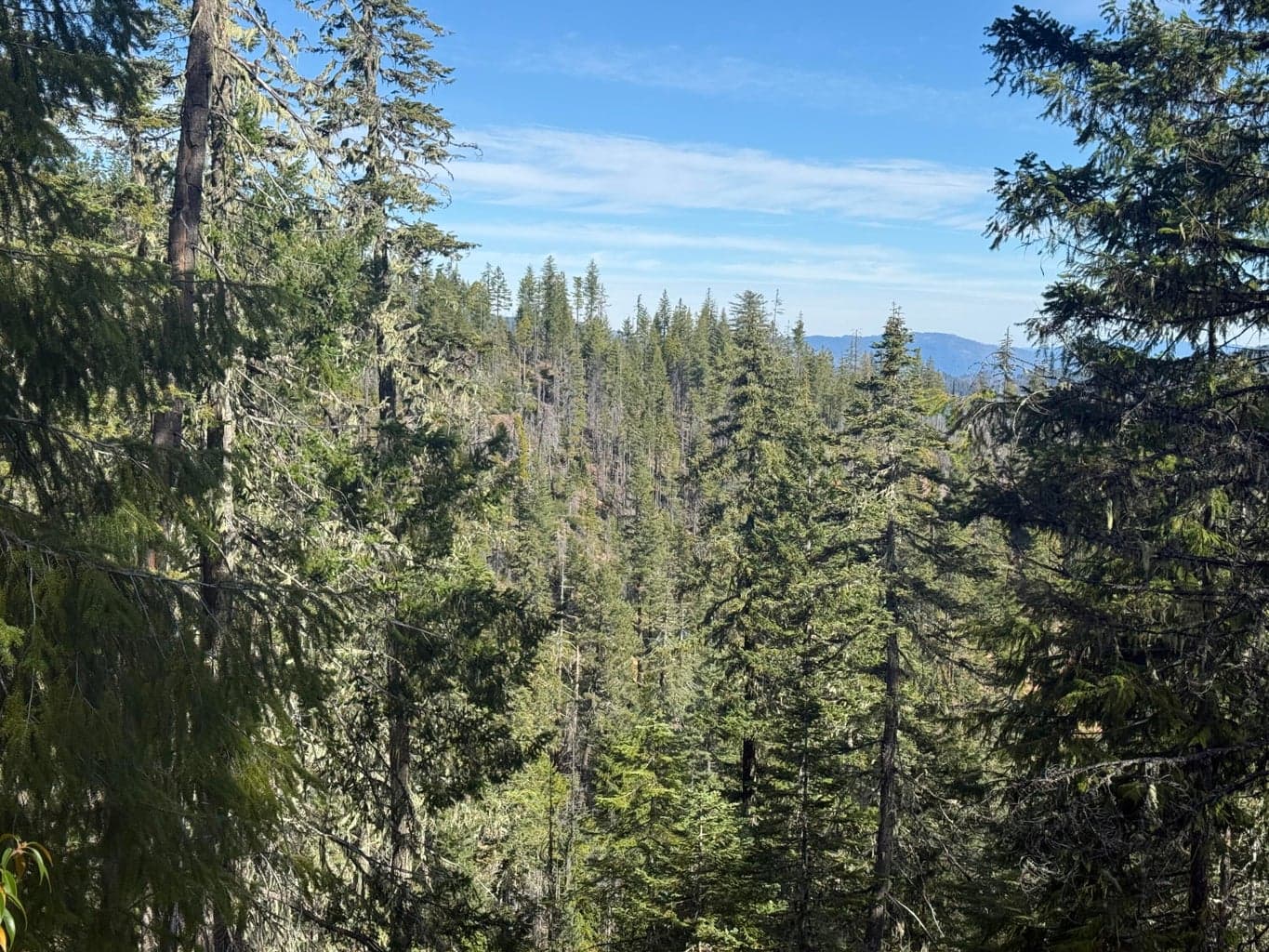 Photo of 2 Onion Mountain 3 of 13