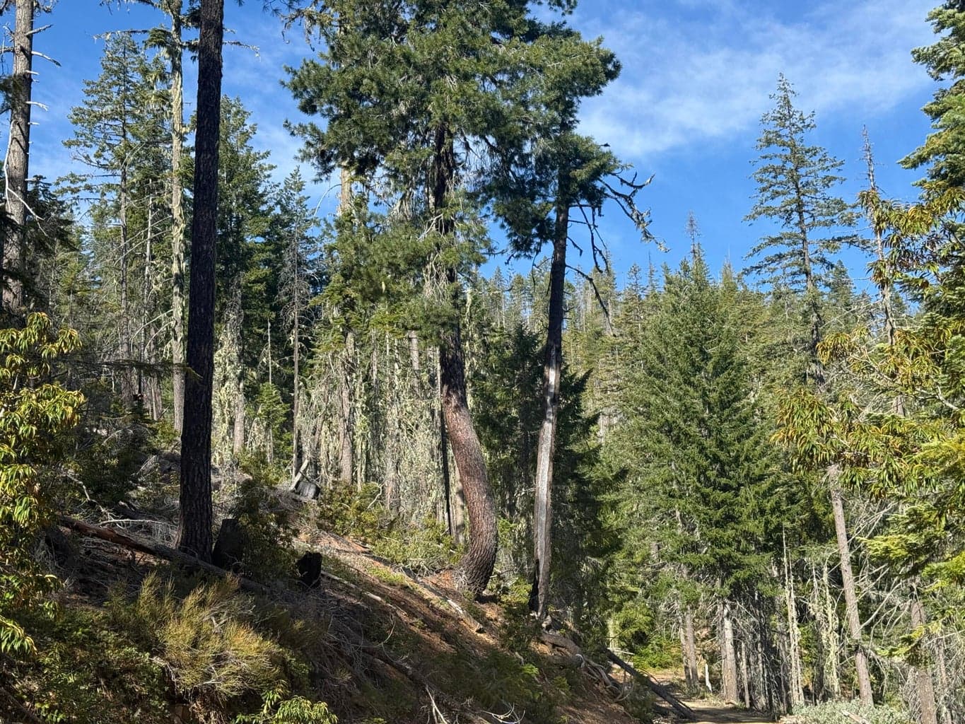 Photo of 2 Onion Mountain 4 of 13