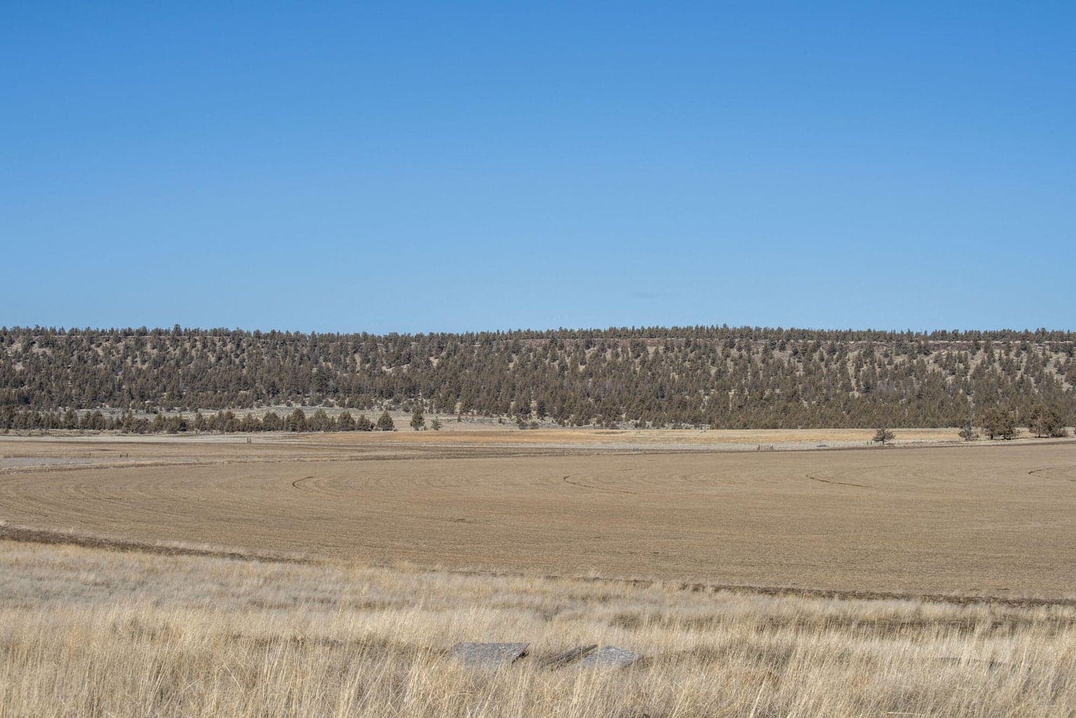 Photo of McKenzie Canyon 9 of 12