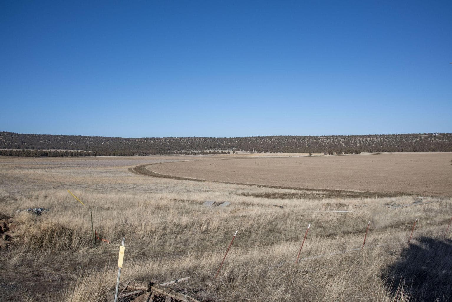 Photo of McKenzie Canyon 12 of 12