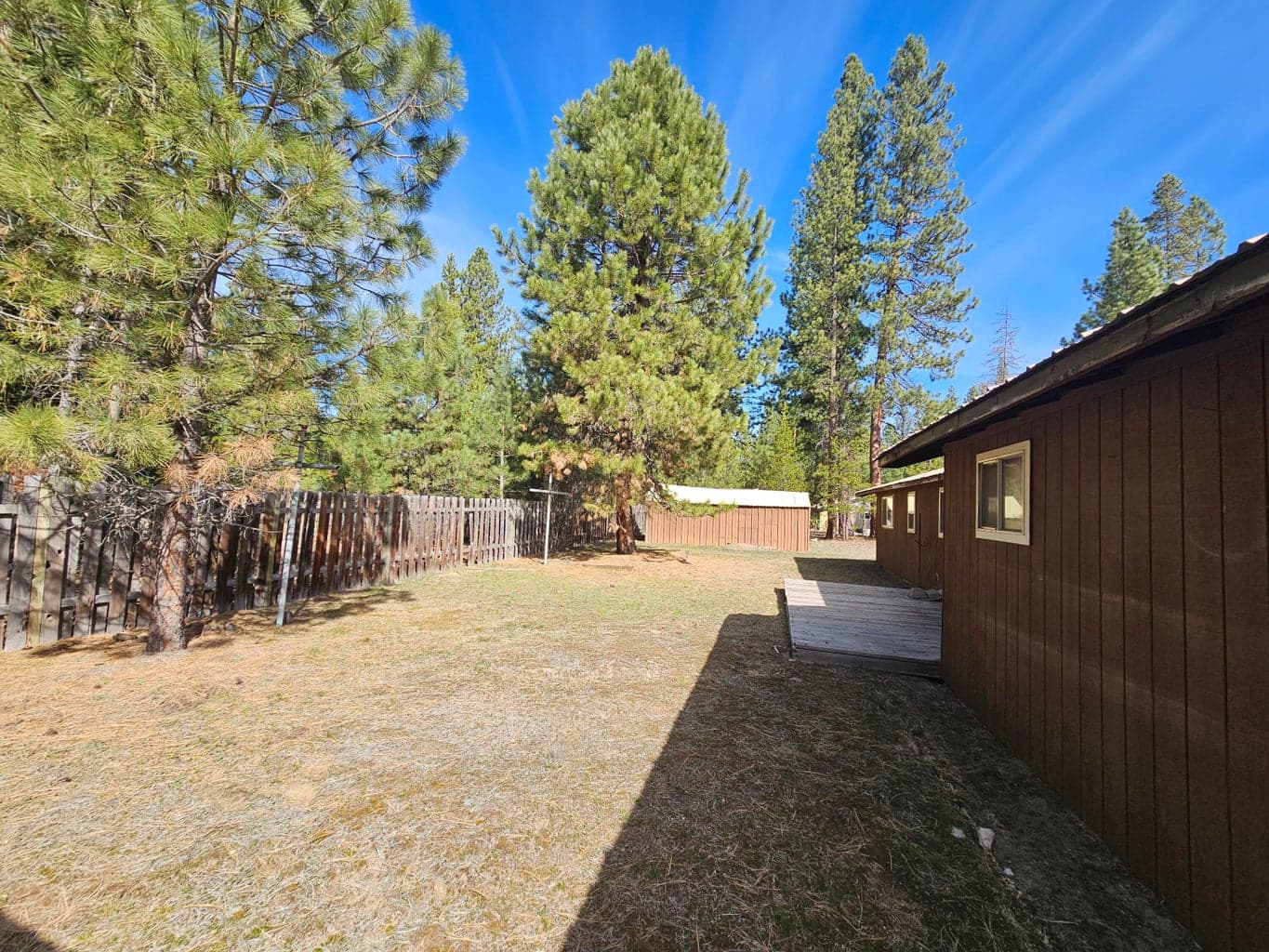 Photo of 51473 Hemlock 2 of 16