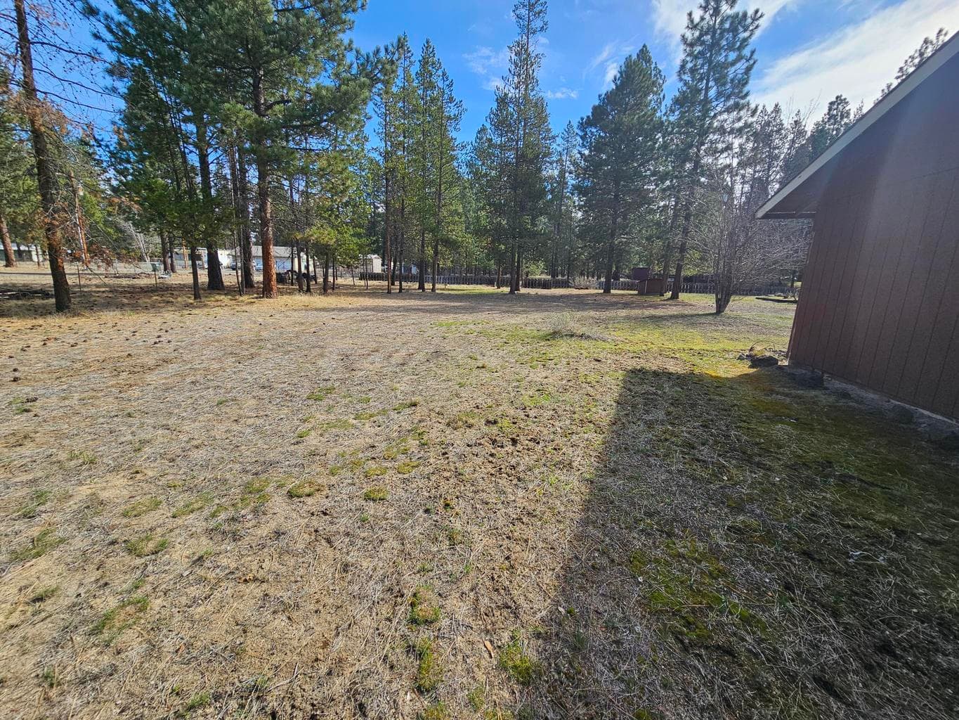 Photo of 51473 Hemlock 5 of 16