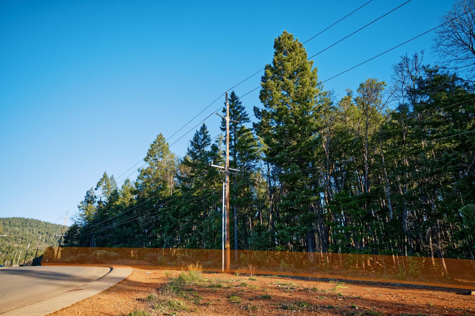 Photo of 0 Redwood 4 of 19