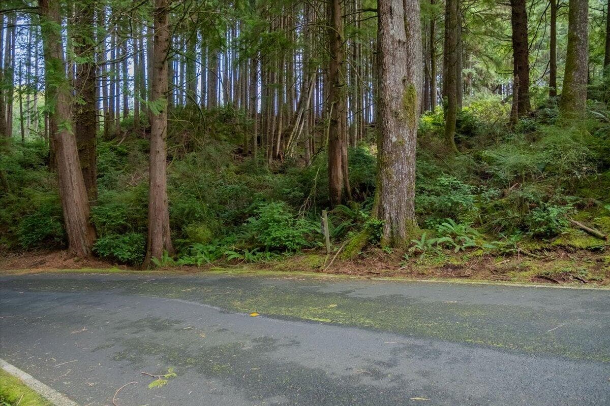 Photo of Fairway 4 of 46