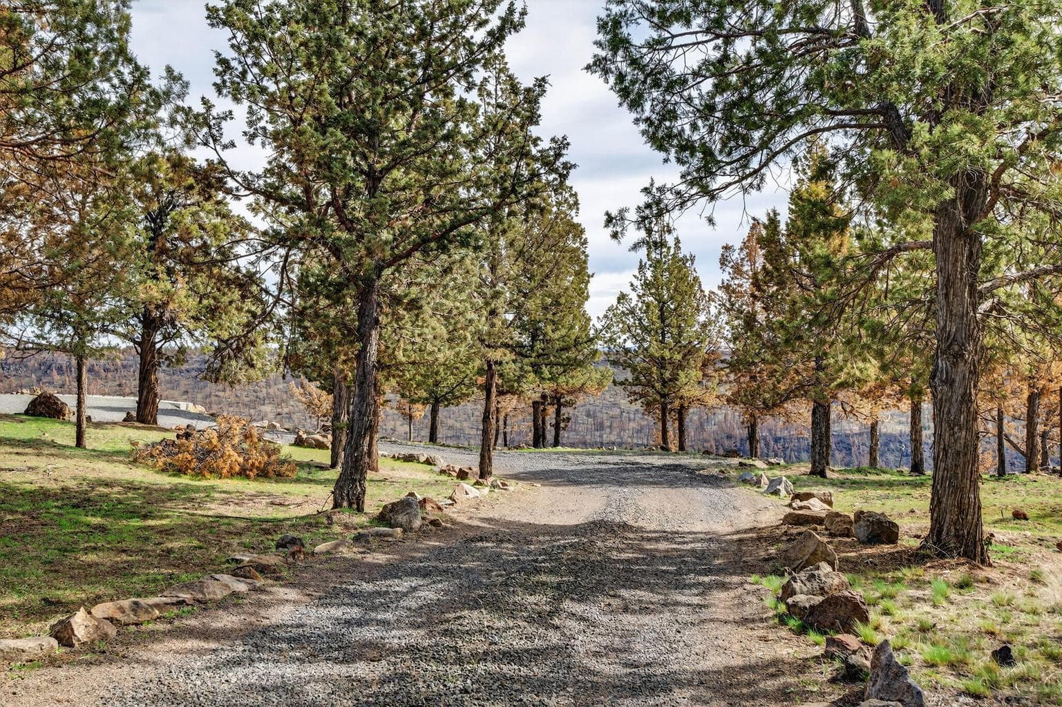 Photo of 18070 Mountain View Road 16 of 59