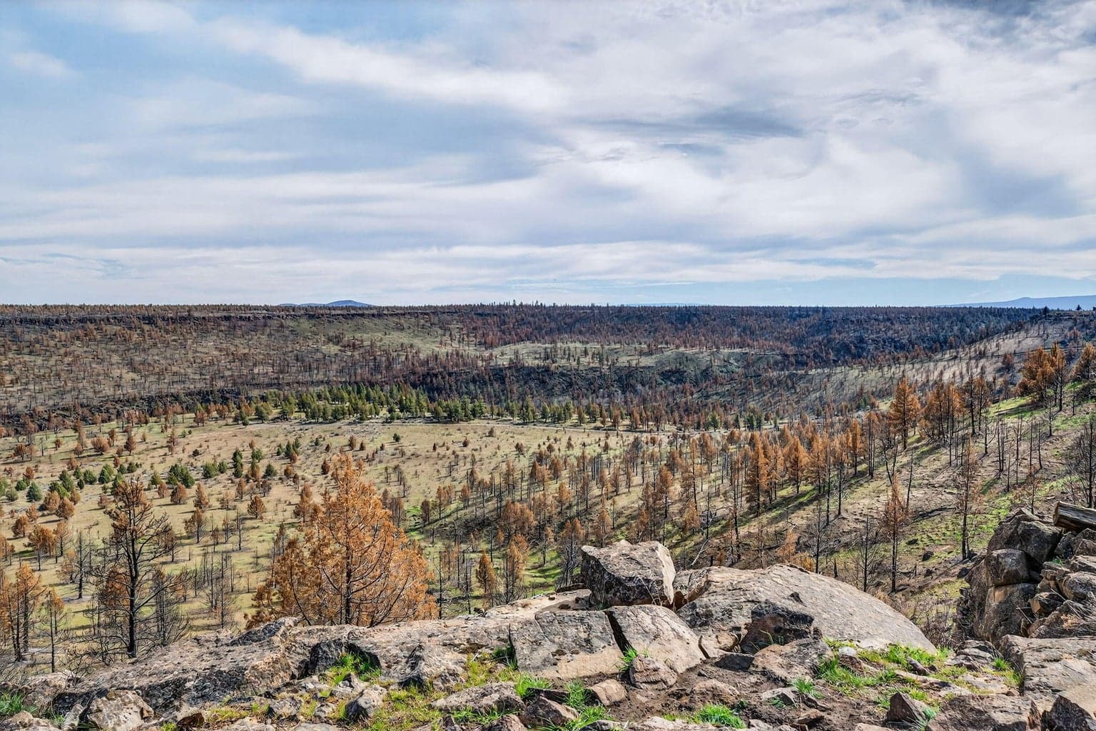Photo of 18070 Mountain View Road 23 of 59