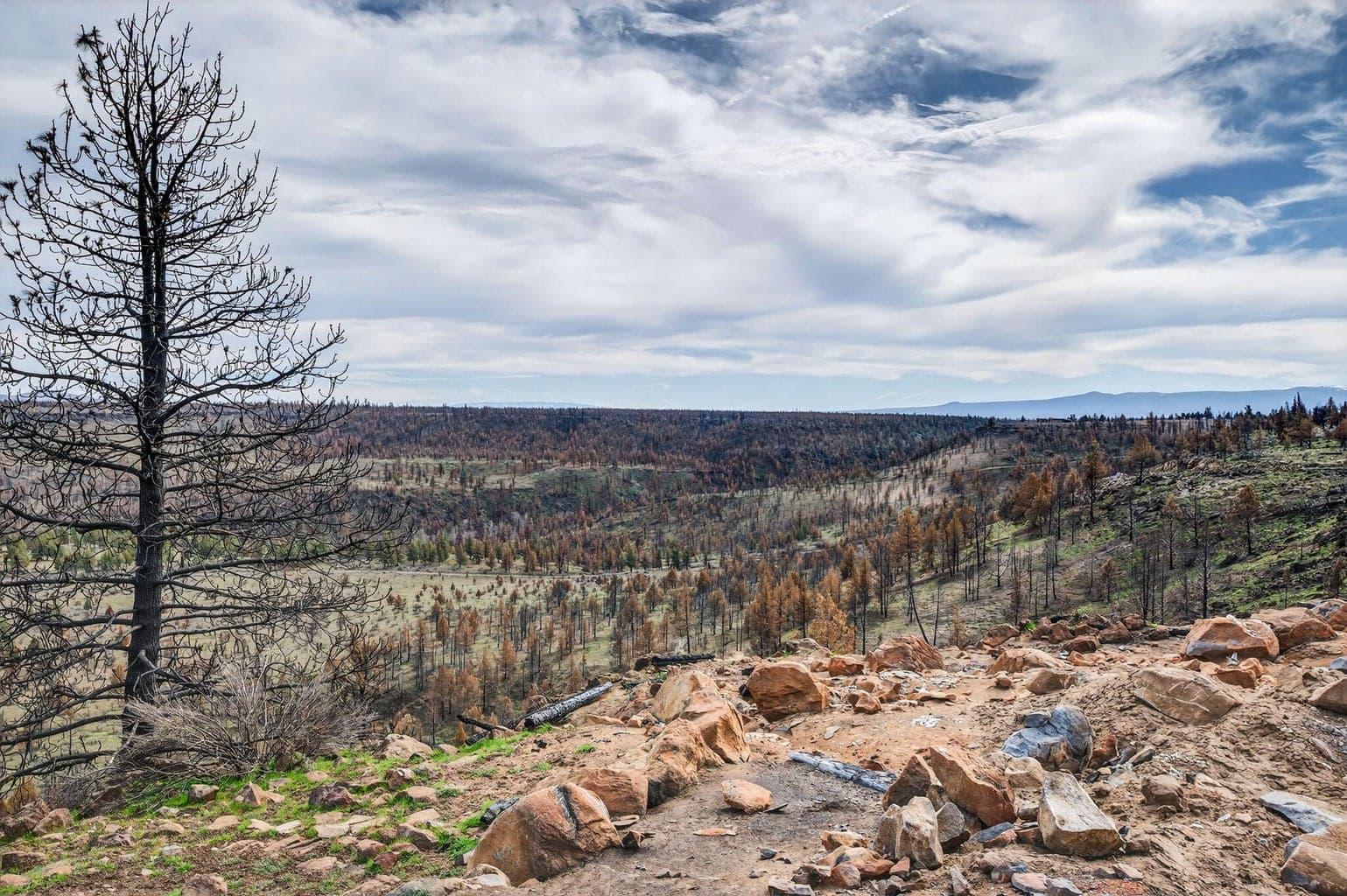 Photo of 18070 Mountain View Road 26 of 59