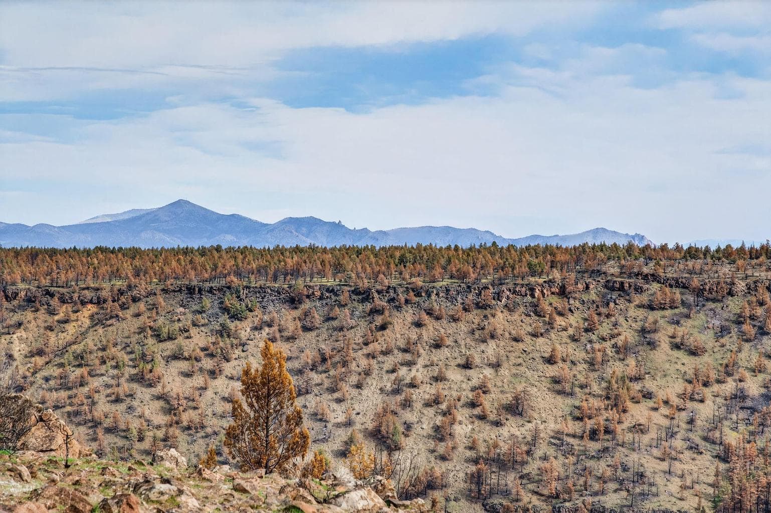 Photo of 18070 Mountain View Road 27 of 59