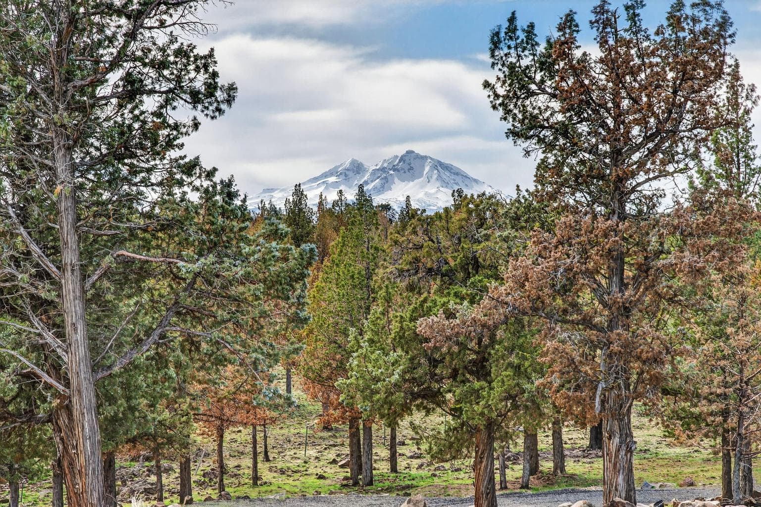 Photo of 18070 Mountain View Road 28 of 59