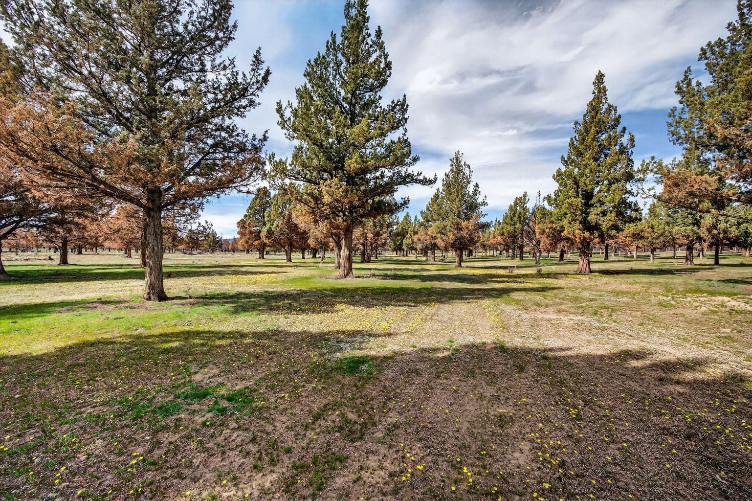 Photo of 18070 Mountain View Road 31 of 59