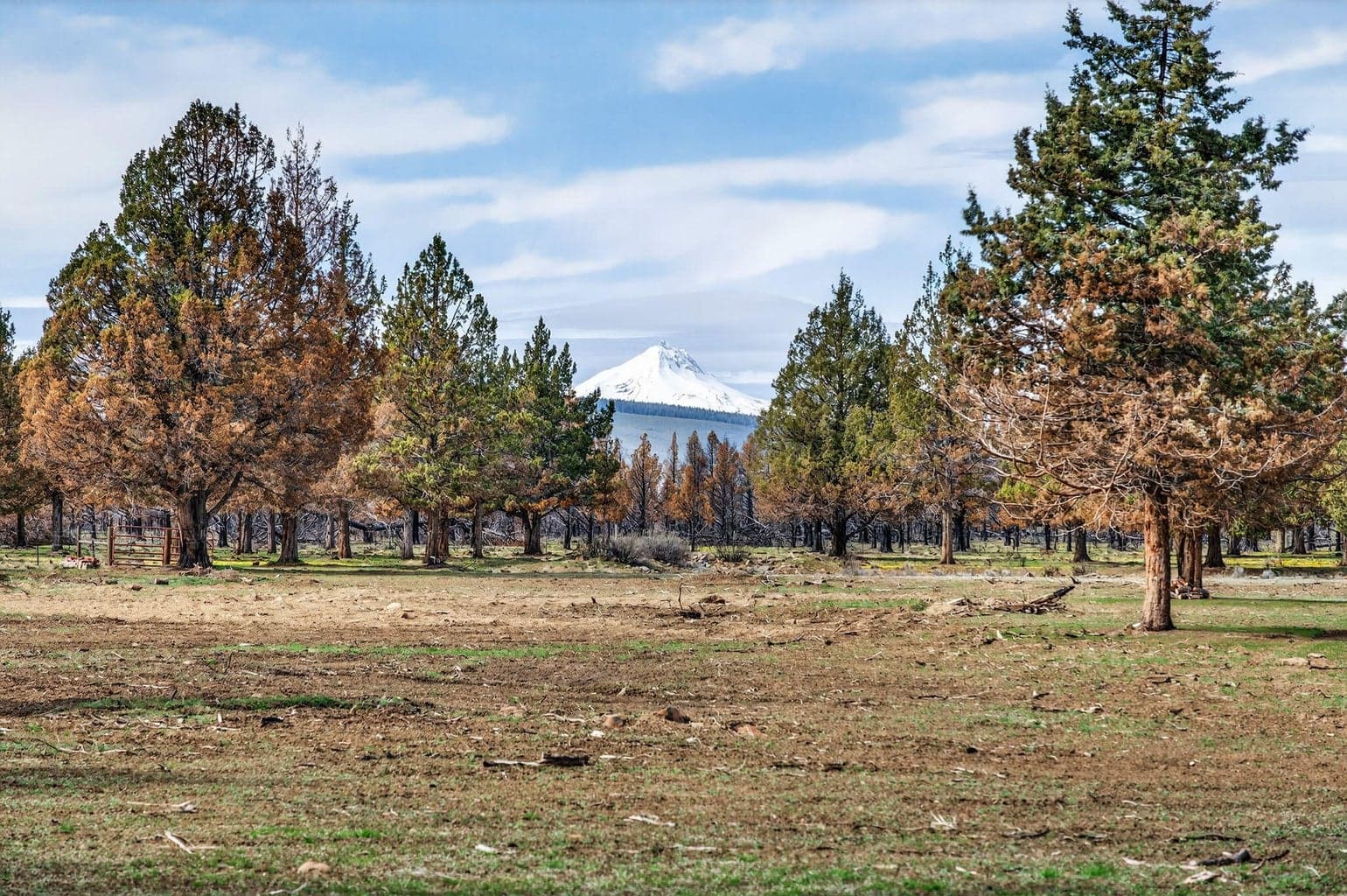 Photo of 18070 Mountain View Road 34 of 59