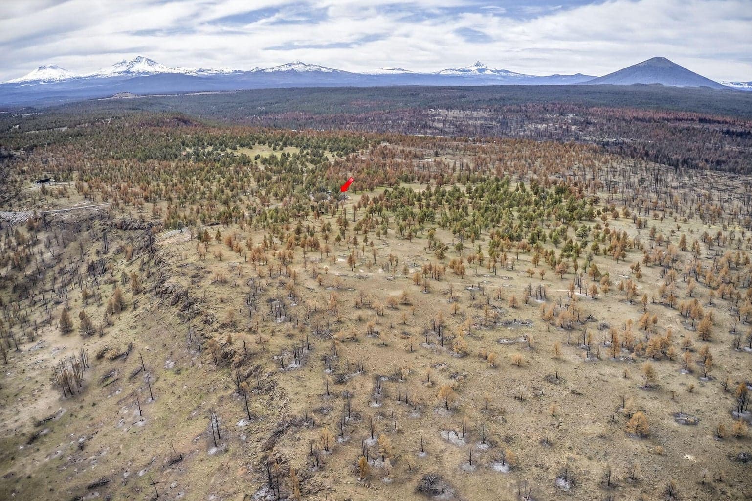 Photo of 18070 Mountain View Road 40 of 59
