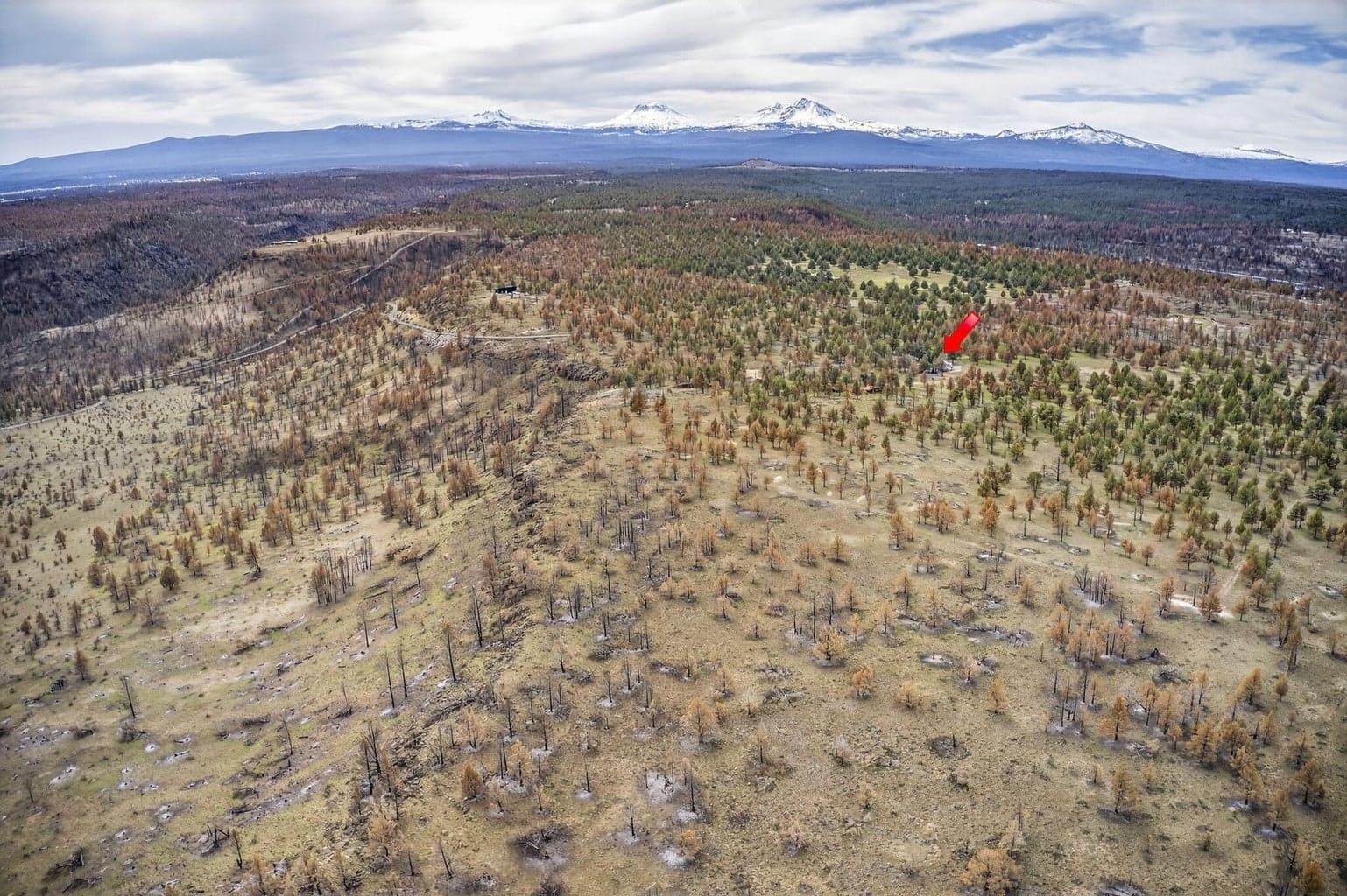 Photo of 18070 Mountain View Road 41 of 59