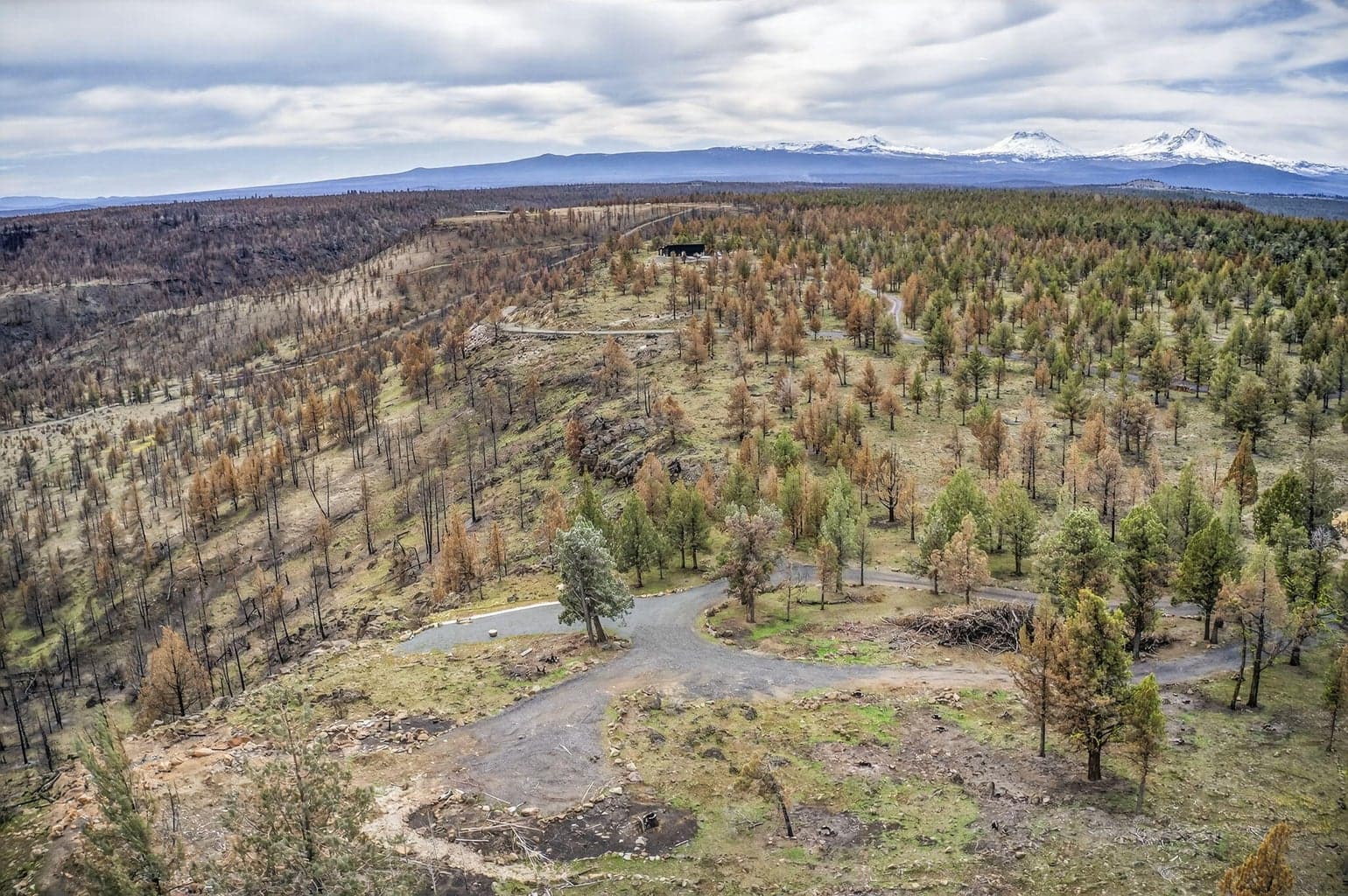 Photo of 18070 Mountain View Road 43 of 59