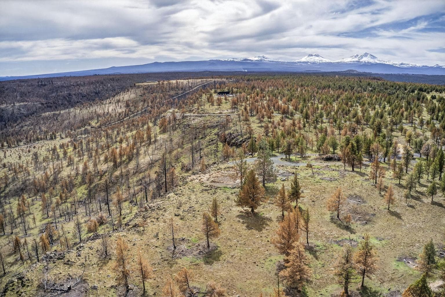 Photo of 18070 Mountain View Road 47 of 59