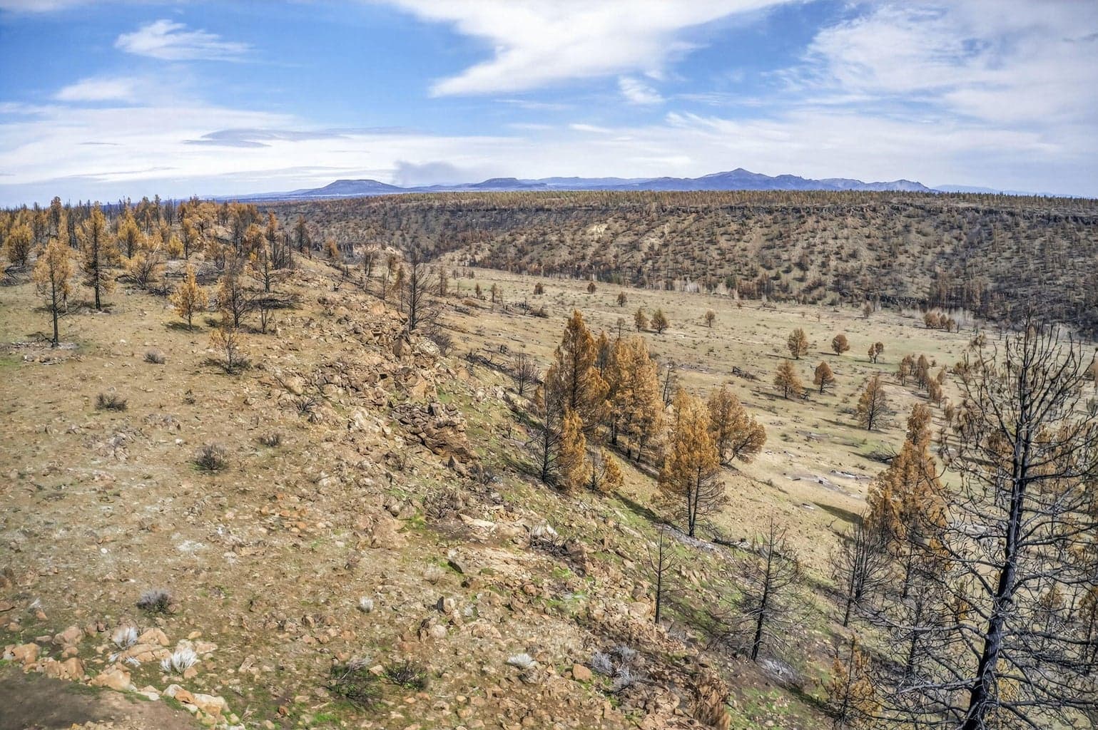 Photo of 18070 Mountain View Road 49 of 59