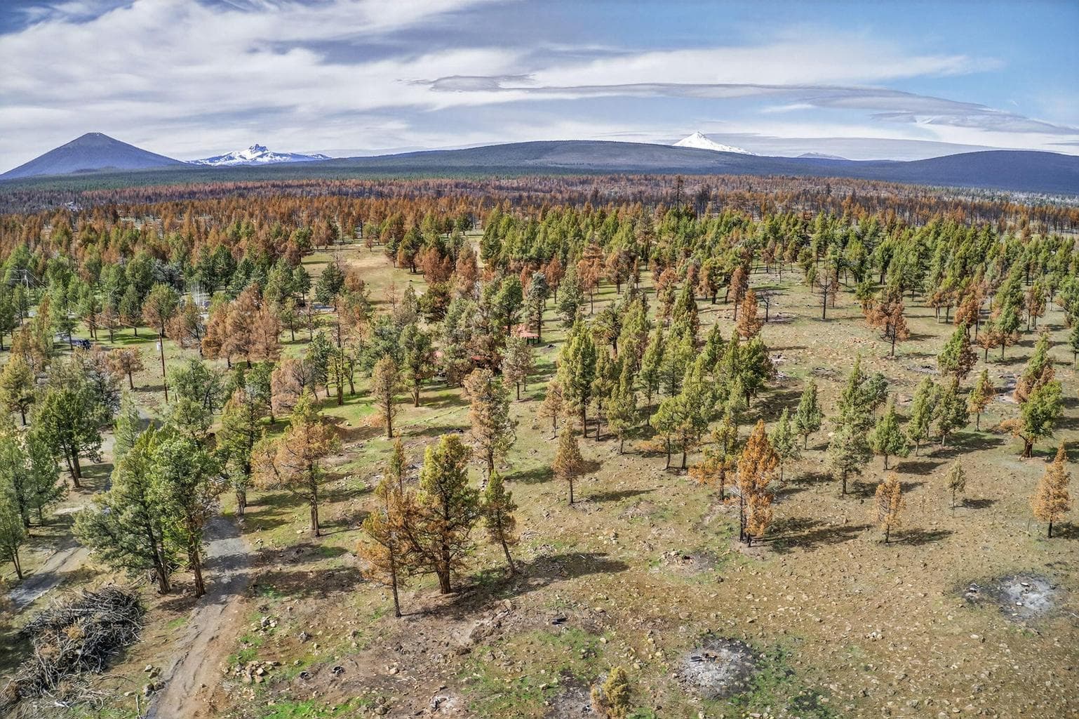 Photo of 18070 Mountain View Road 50 of 59