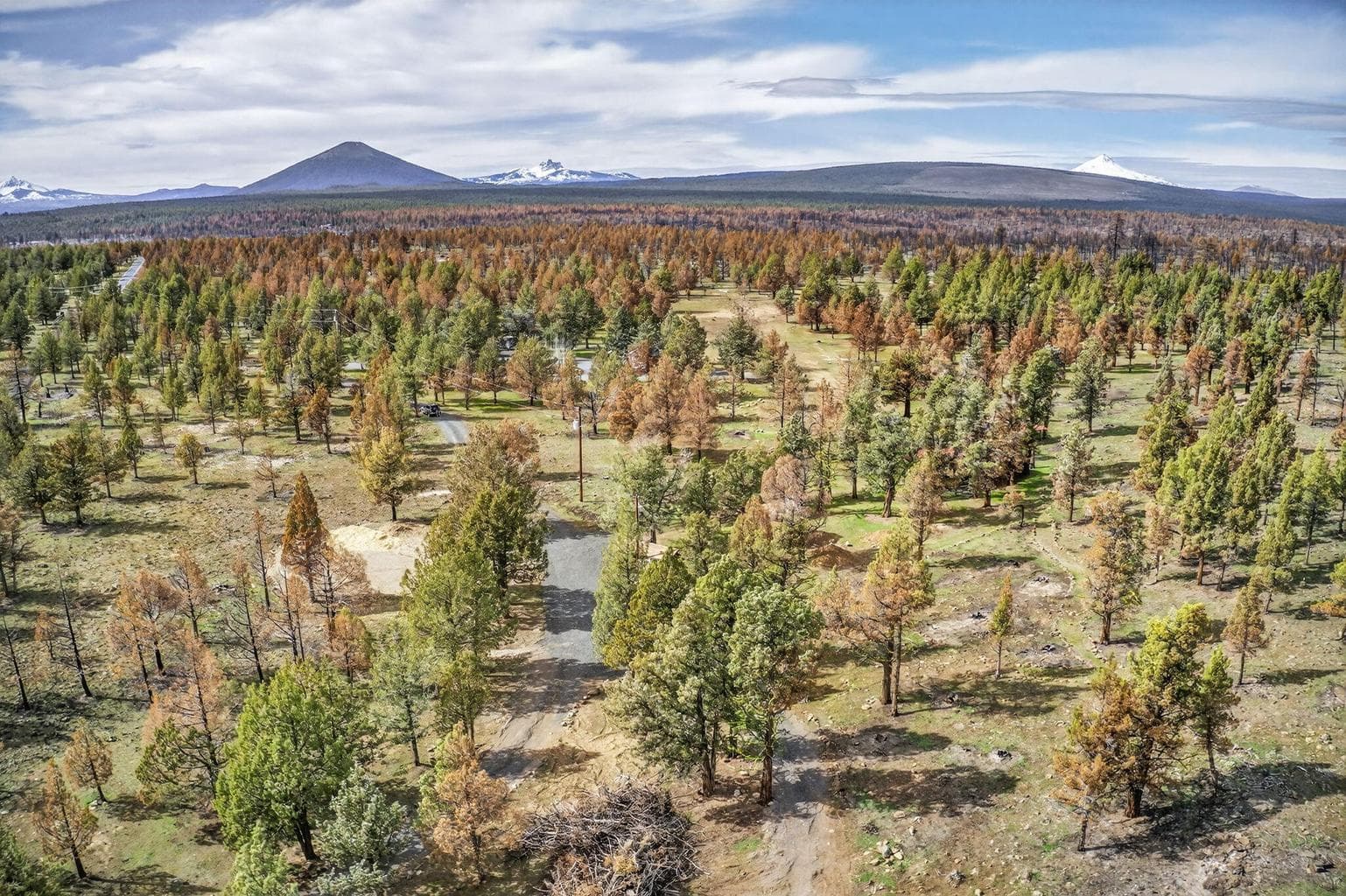 Photo of 18070 Mountain View Road 51 of 59