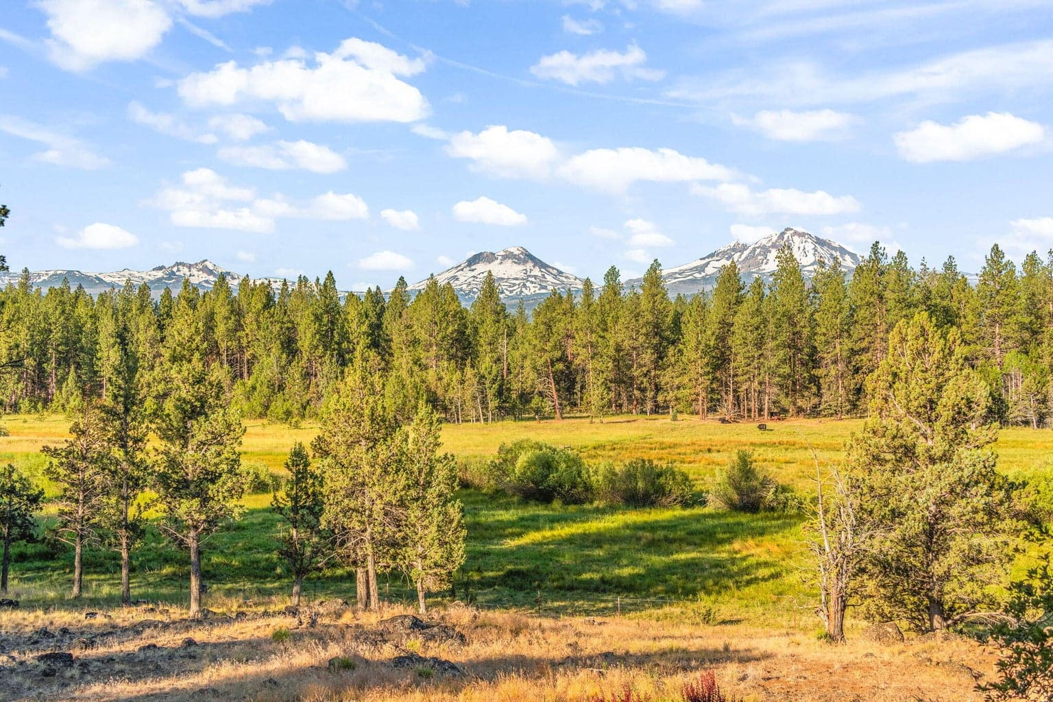 Photo of 69485 Deer Ridge Road 61 of 94