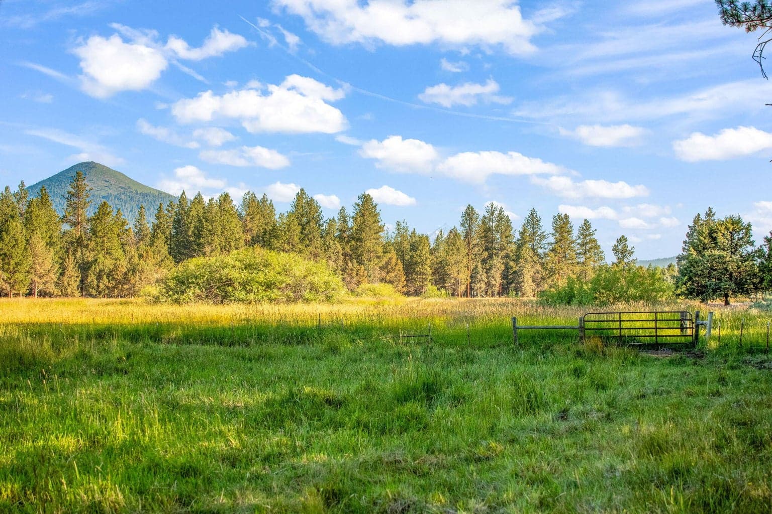 Photo of 69485 Deer Ridge Road 73 of 94