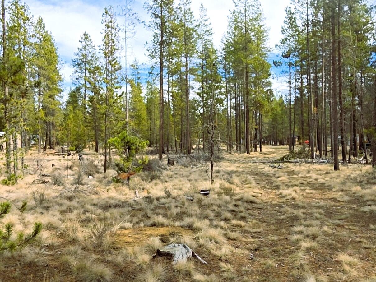 16555 Fawn, La Pine, 97739