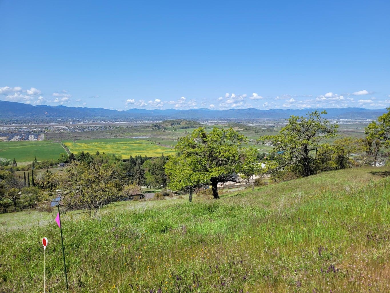 Photo of 3635 High Prairie 3 of 17